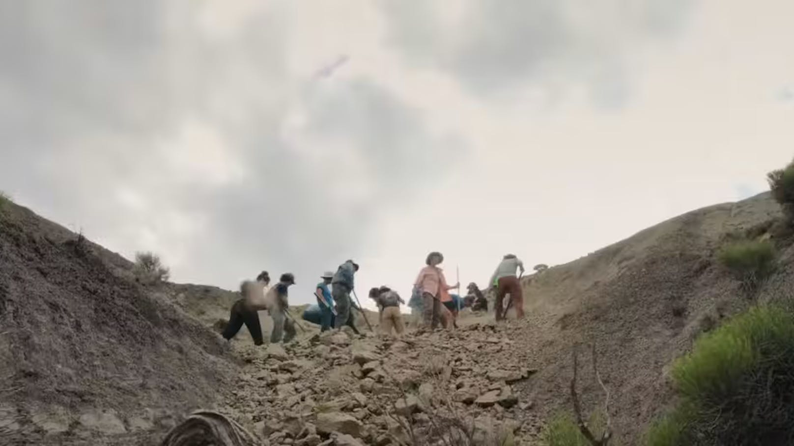 Das Museum Denver, wo das Fossil ausgestellt werden soll, liess die Ausgrabungsarbeiten ein Jahr lang mit einem Kamerateam begleiten. Ein Film dazu wurde mittlerweile veröffentlicht.