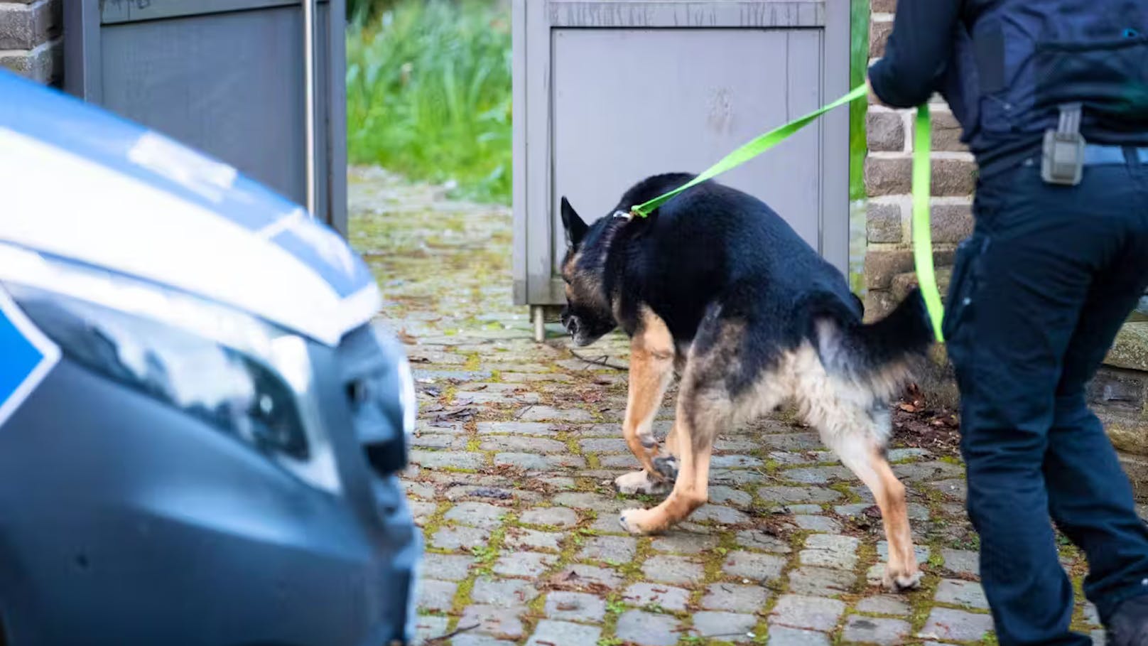 Seit Montagabend läuft eine große Suchaktion. Es wurden auch ein Helikopter und ein Spürhund eingesetzt.