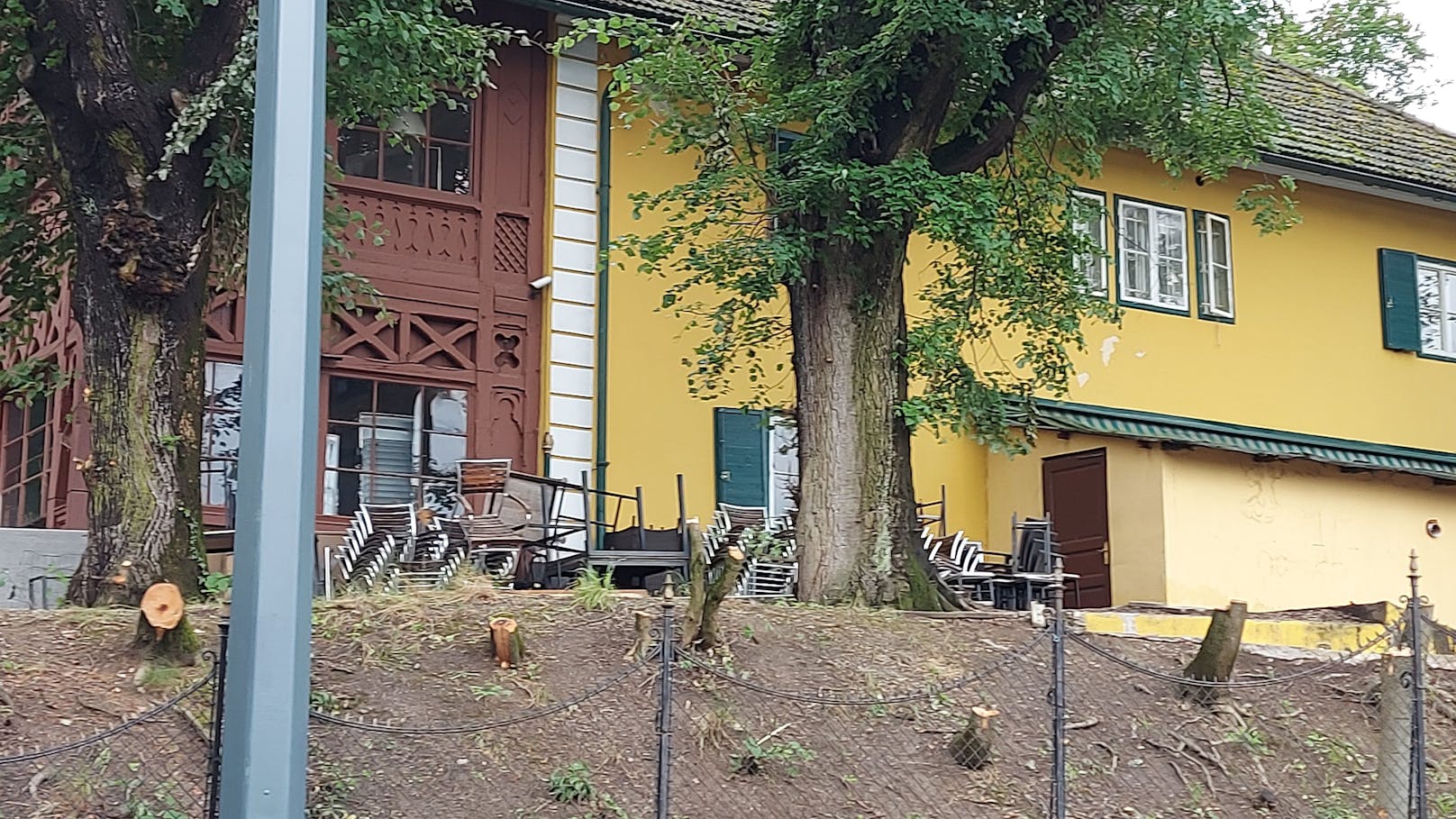 Wirbel um Villa Aurora – 60 Bäume wurden gefällt