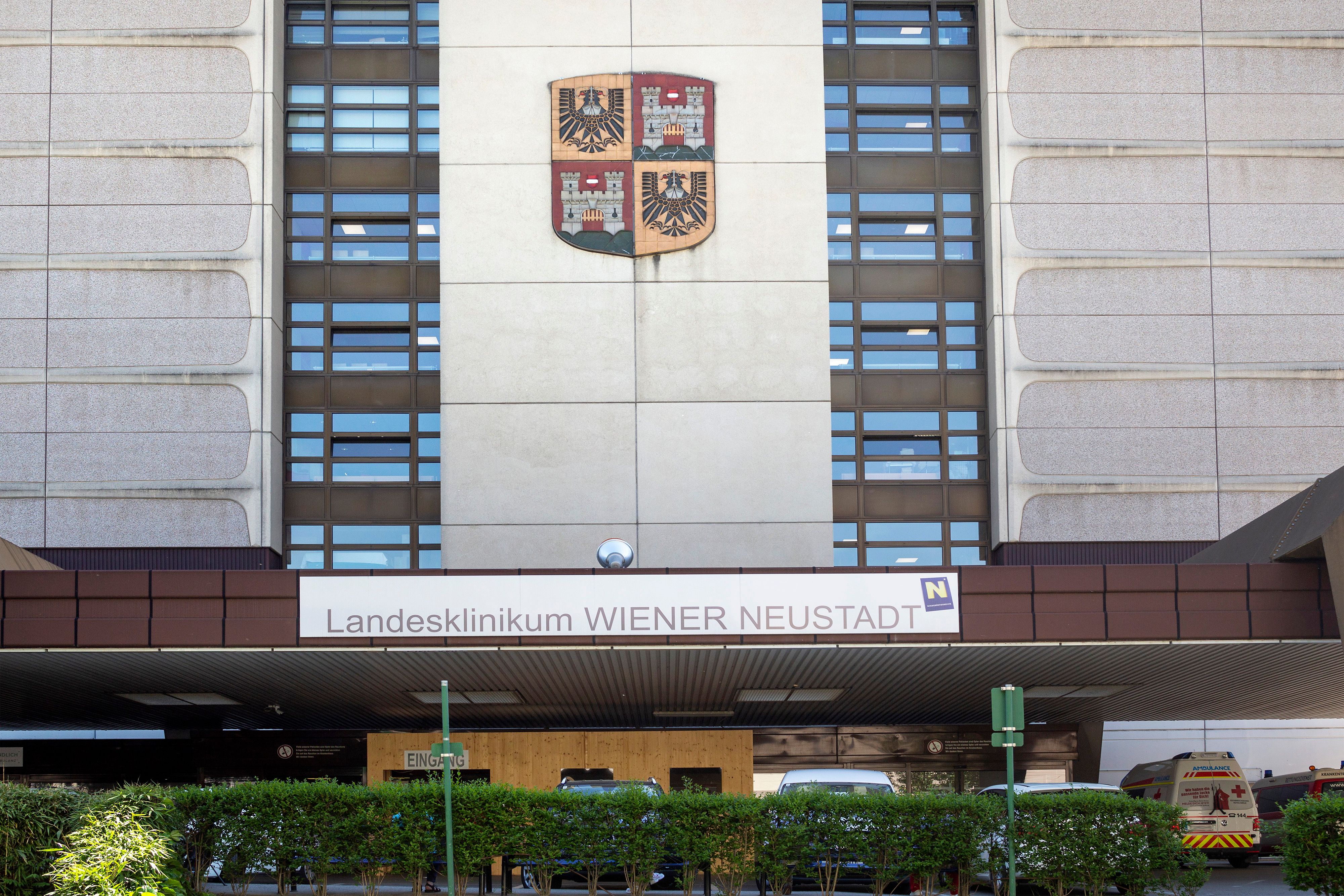 Nachdem eine junge Mutter mit einer Thrombose heimgeschickt wurde, fordert der Vizebürgermeister von Wiener Neustadt einen Gesundheitsgipfel