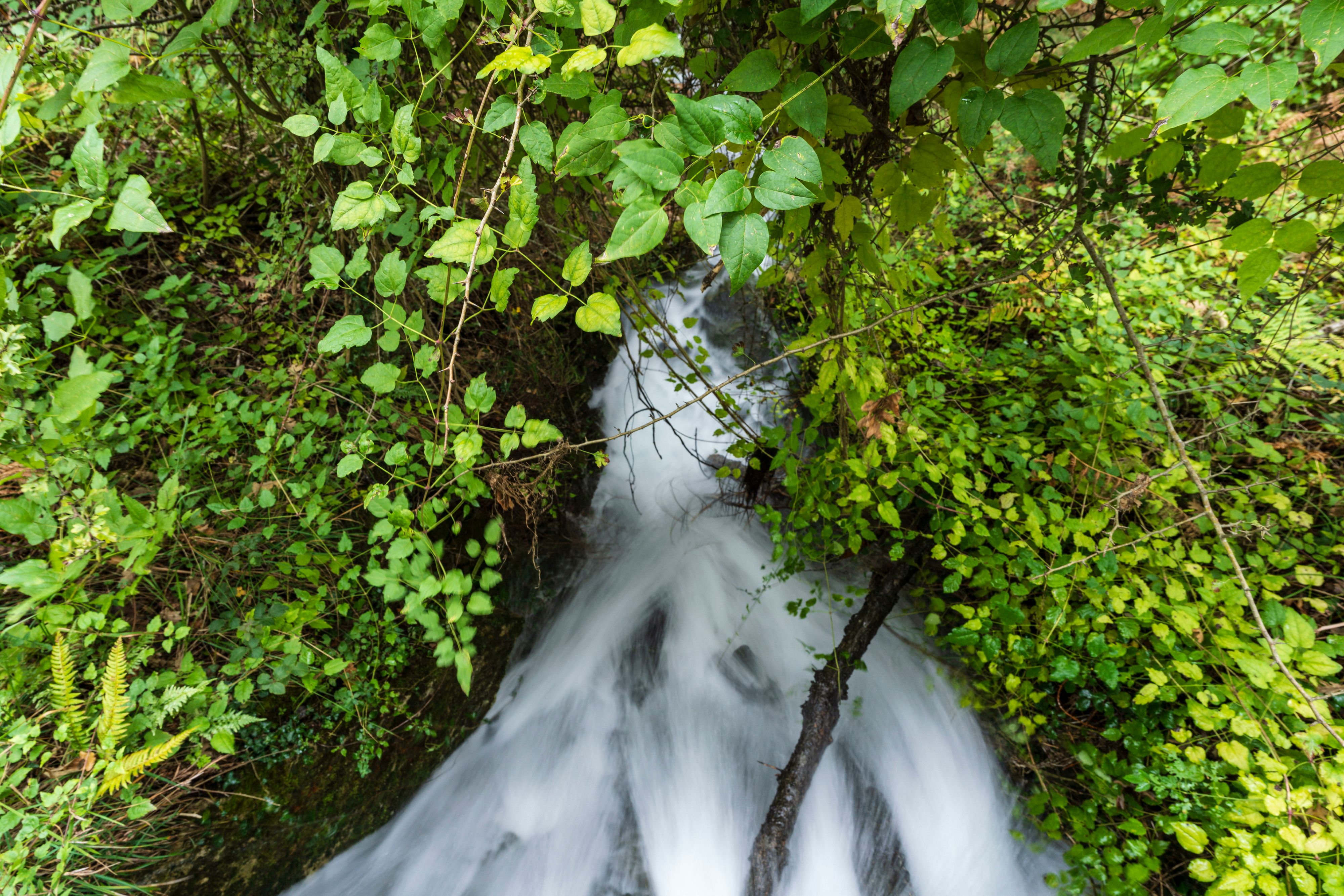 Schützenswert aus guten Gründen: Wasser ist die Grundvoraussetzung jeglichen Lebens.