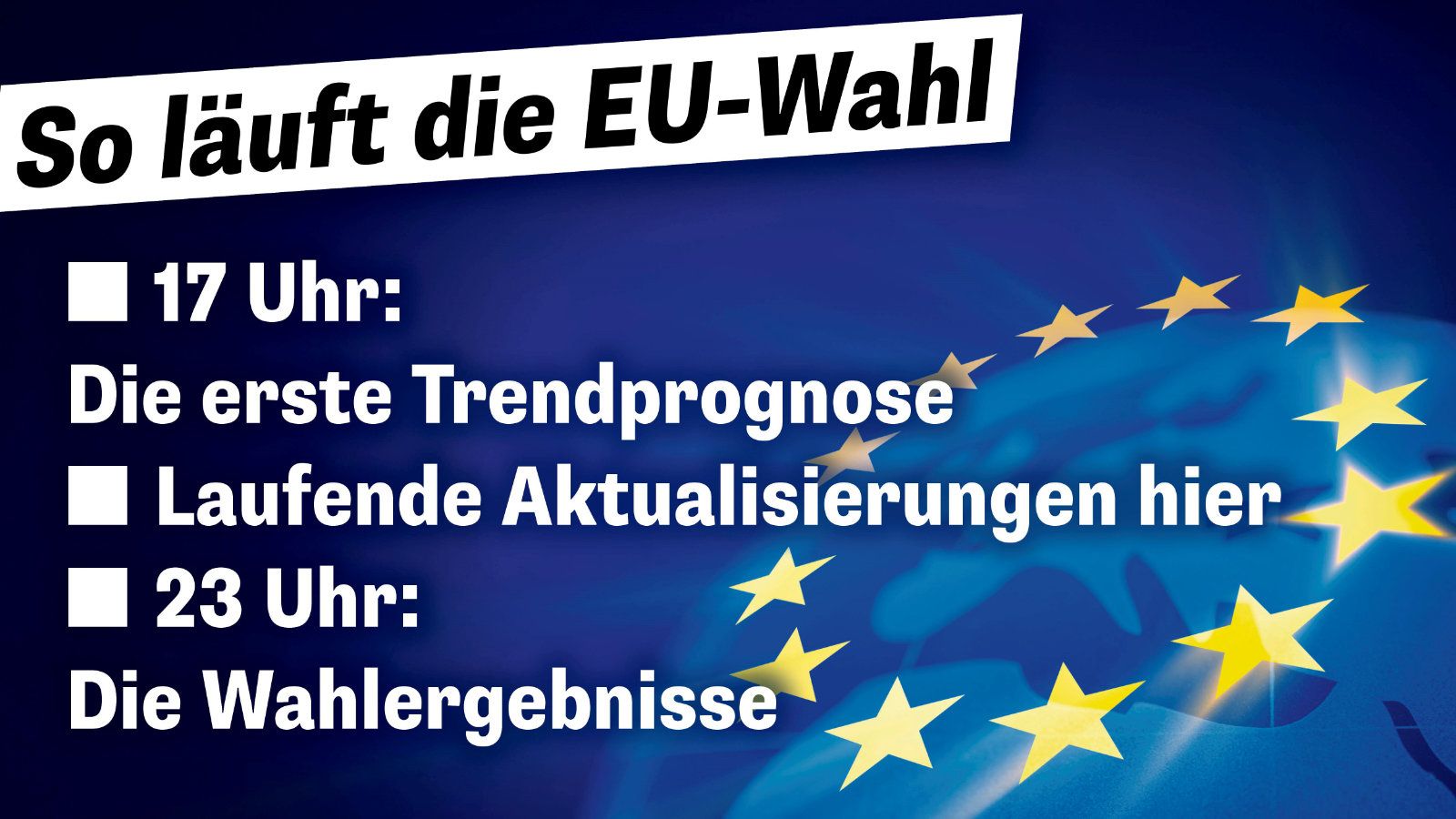 so läuft die Wahl