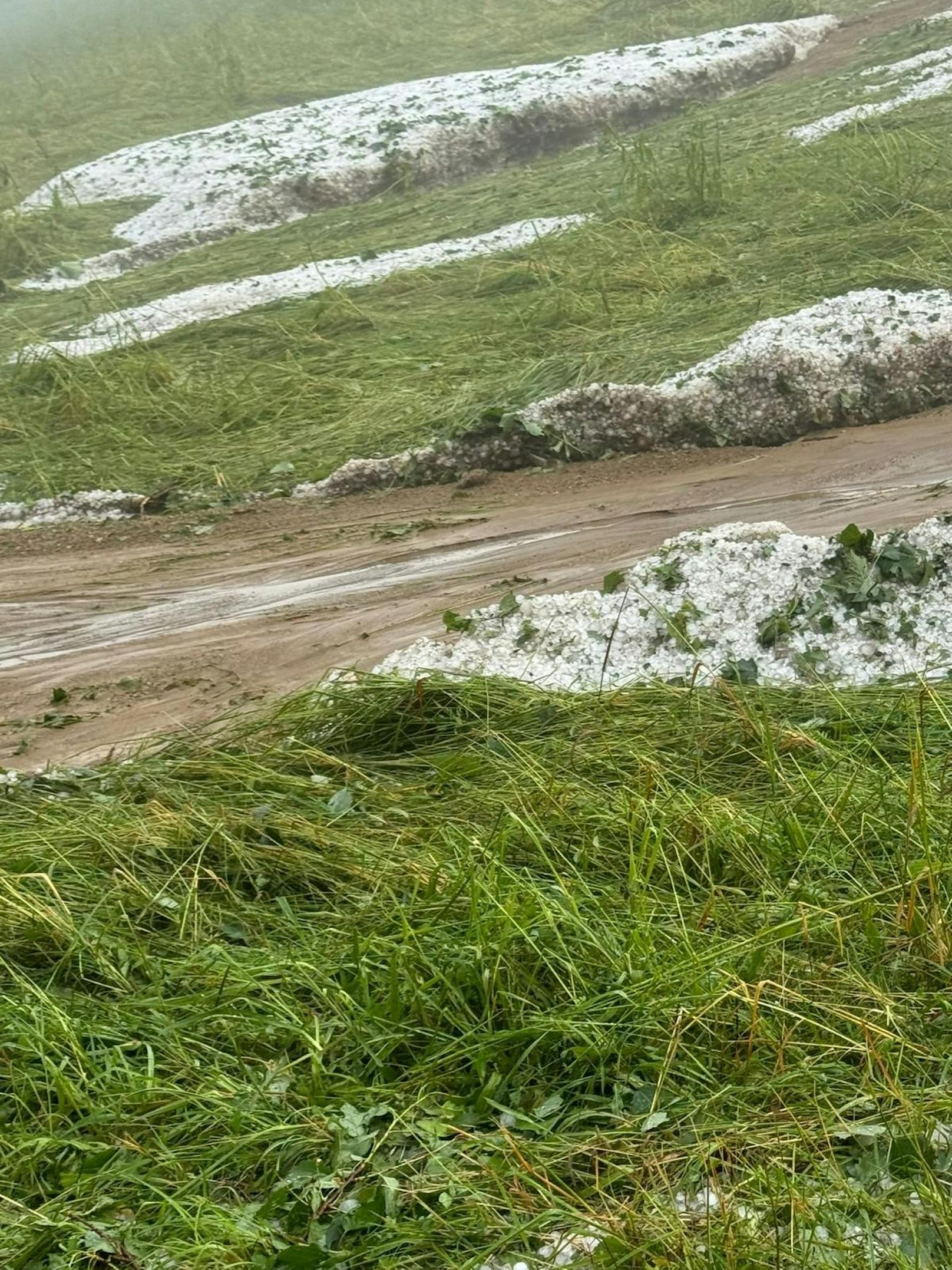 Hagel-Unwetter zogen am 7. Juni 2024 eine Schneise der Verwüstung durch die Weststeiermark.