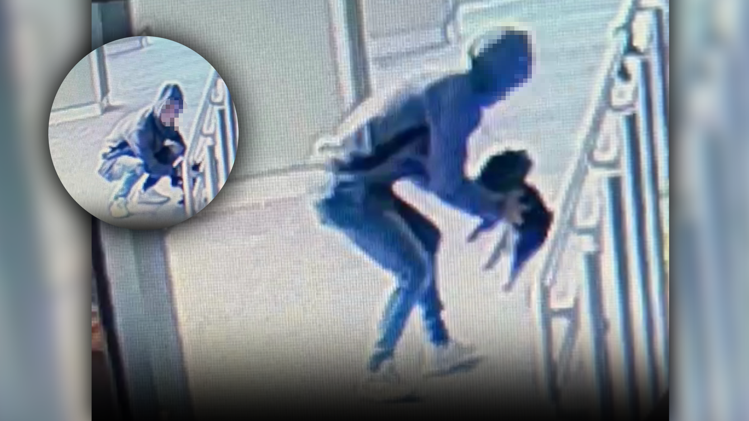 Diese Bilder schockieren: Kiwi wurde am helllichten Tag entführt.