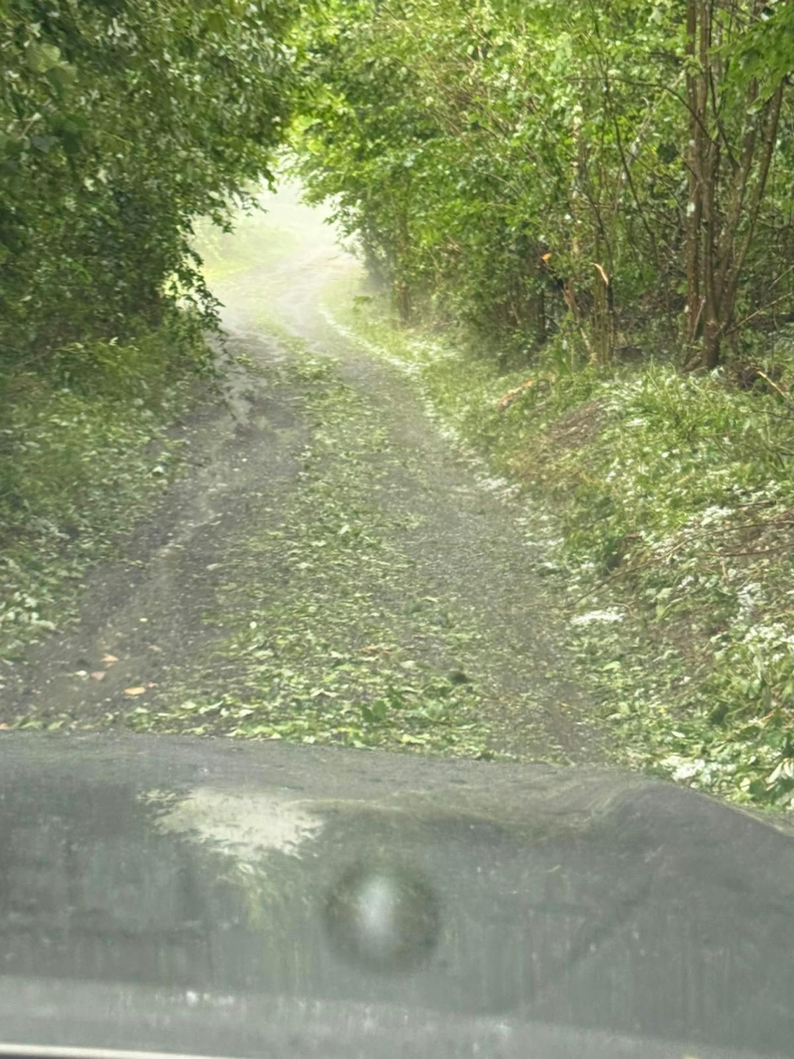 Hagel-Unwetter zogen am 7. Juni 2024 eine Schneise der Verwüstung durch die Weststeiermark.