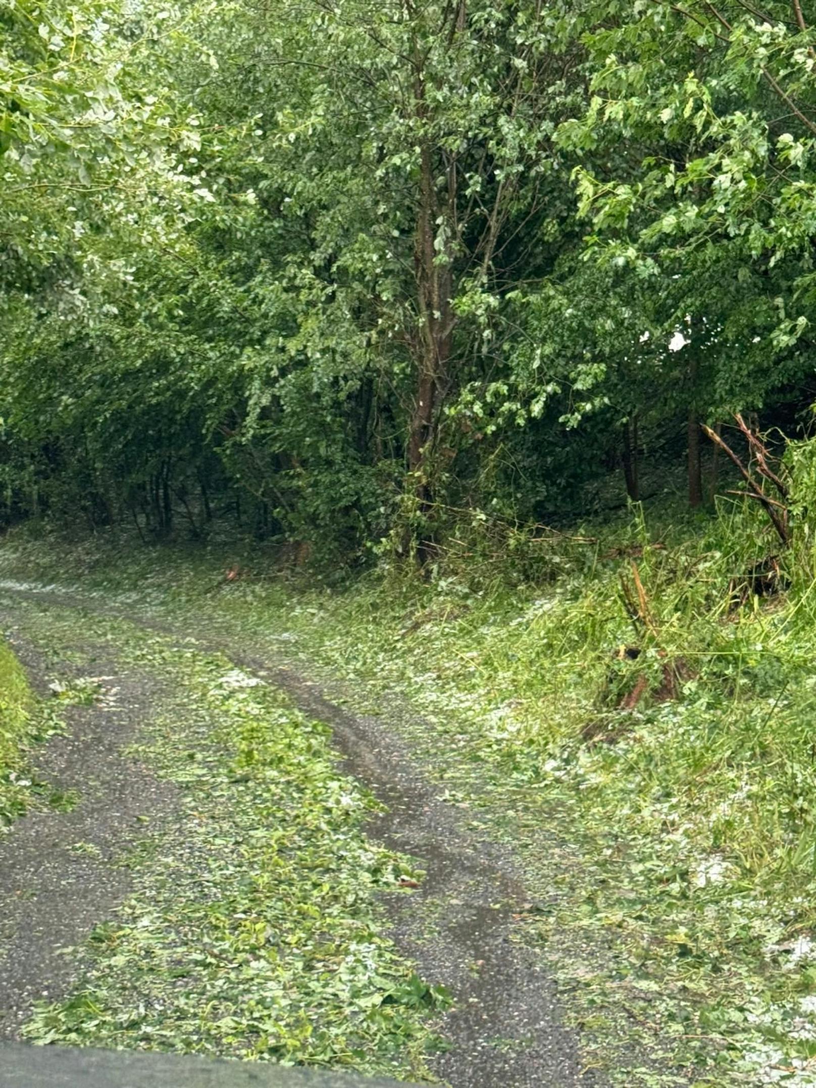 Hagel-Unwetter zogen am 7. Juni 2024 eine Schneise der Verwüstung durch die Weststeiermark.