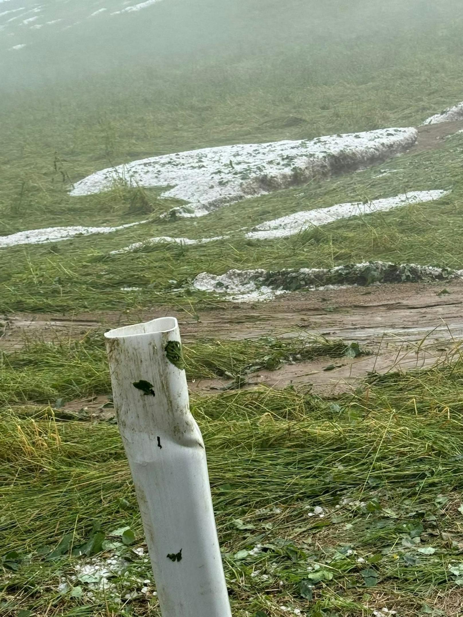 Hagel-Unwetter zogen am 7. Juni 2024 eine Schneise der Verwüstung durch die Weststeiermark.