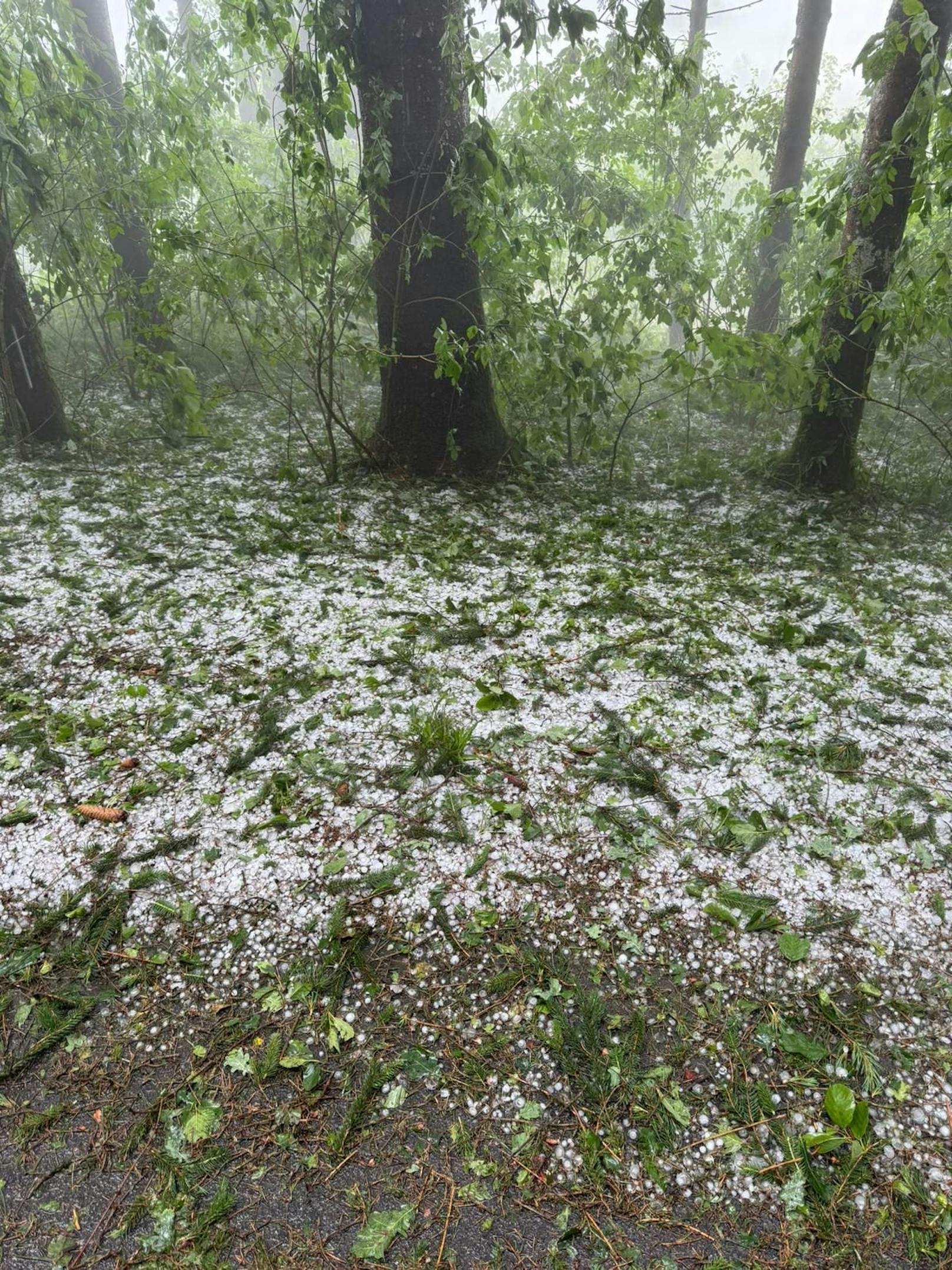 Hagel-Unwetter zogen am 7. Juni 2024 eine Schneise der Verwüstung durch die Weststeiermark.