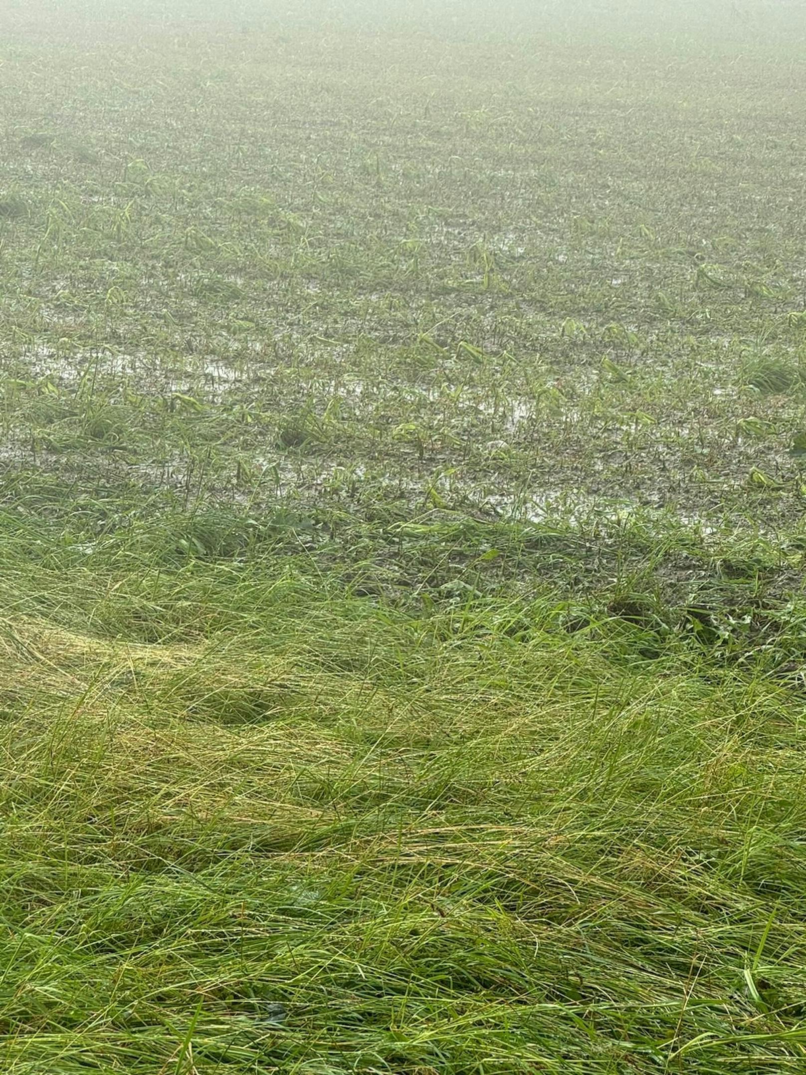 Hagel-Unwetter zogen am 7. Juni 2024 eine Schneise der Verwüstung durch die Weststeiermark.