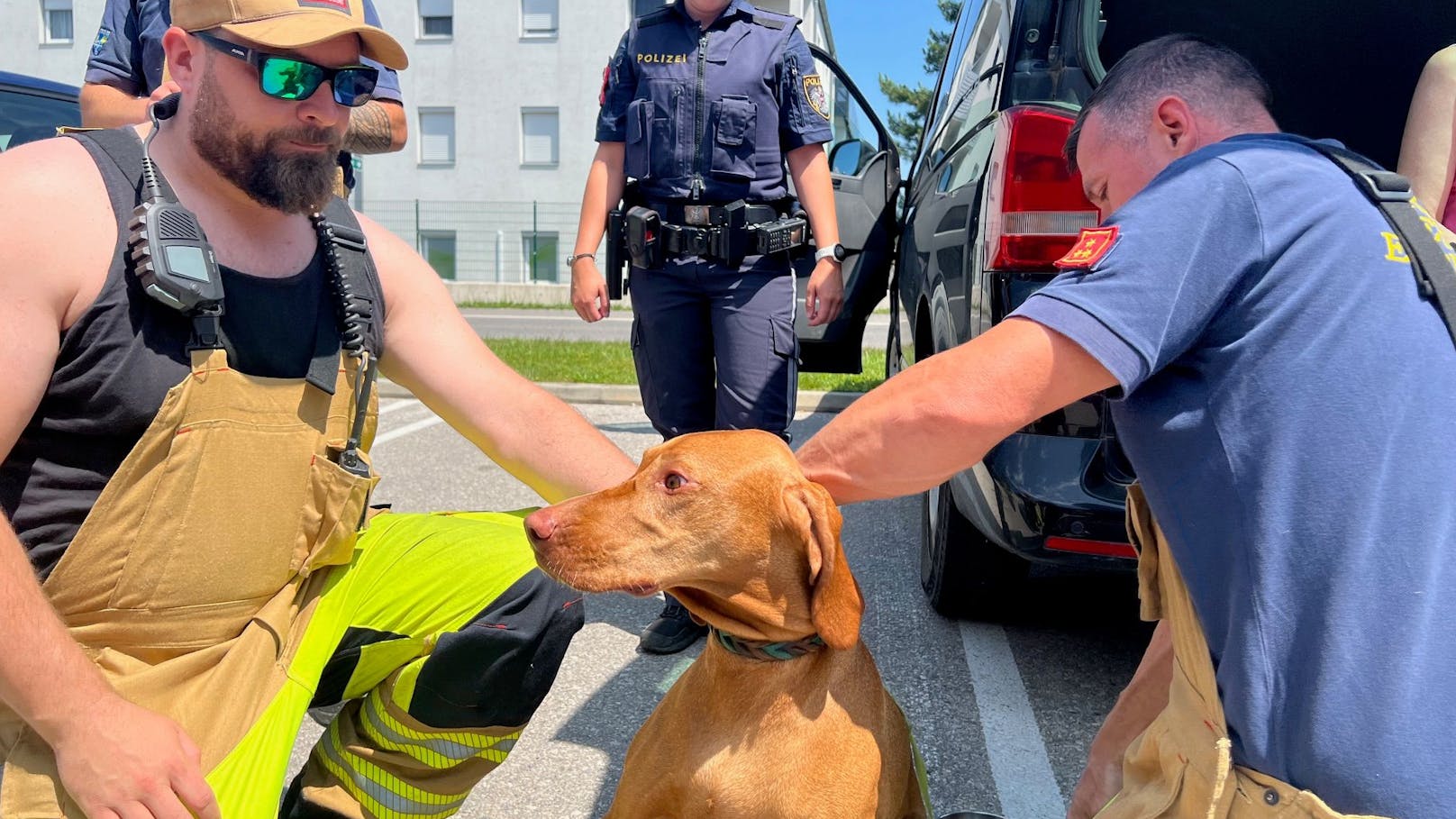 Polizei und Feuerwehr befreien Hund aus Auto