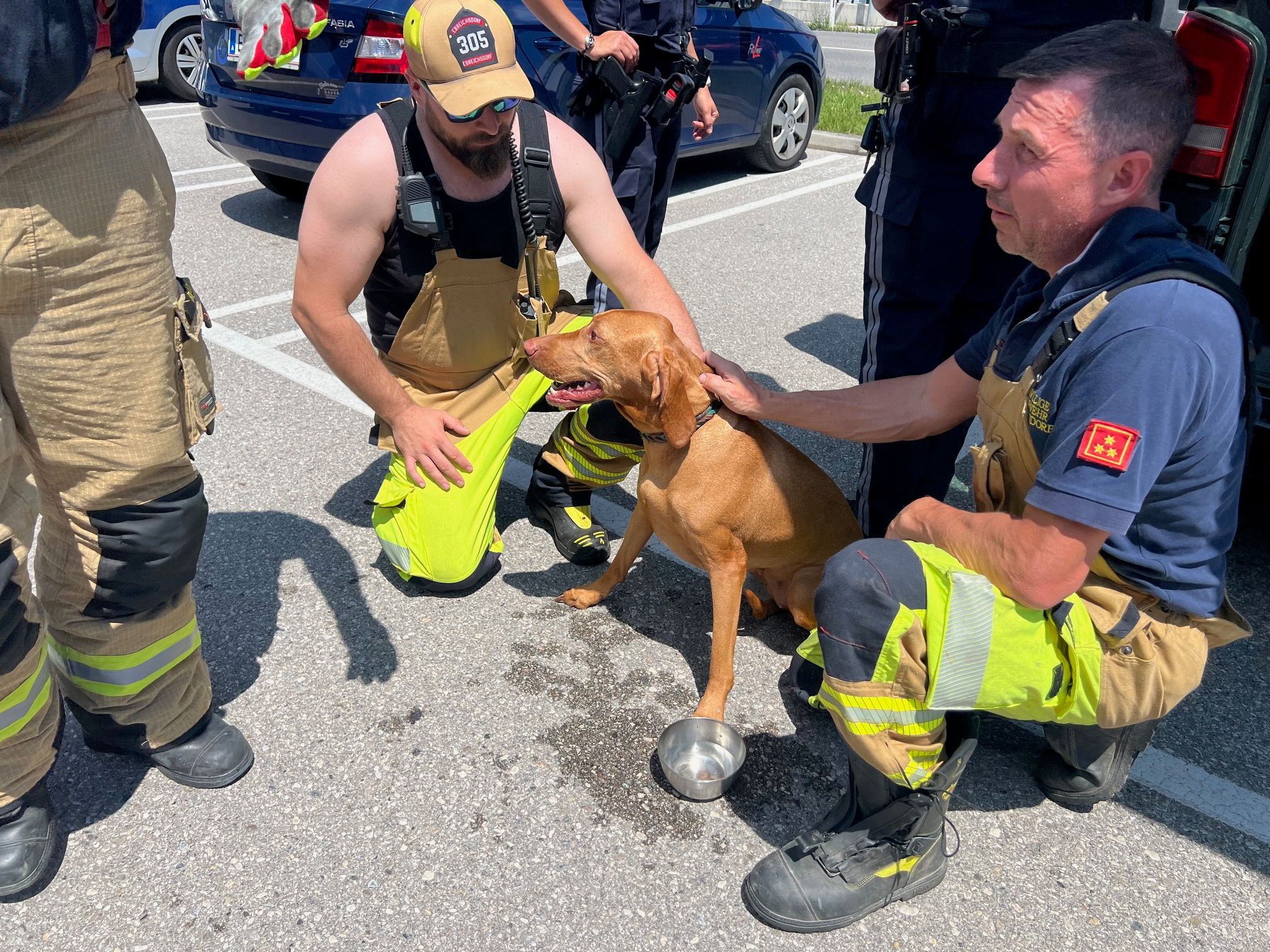 Heute.at - Passiert schon wieder! Lass den Hund nicht im Hitzeauto