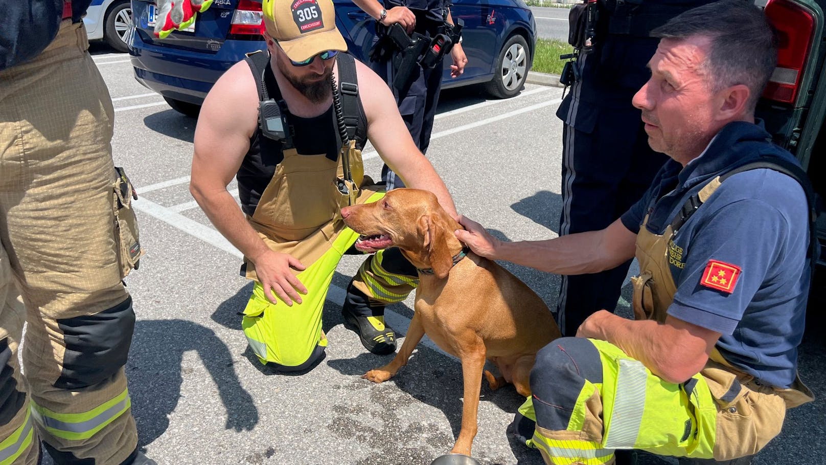 Polizei und Feuerwehr befreien Hund aus Auto