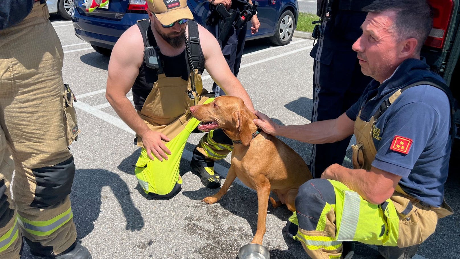 29 Grad! Polizei und Feuerwehr befreien Hund aus Auto
