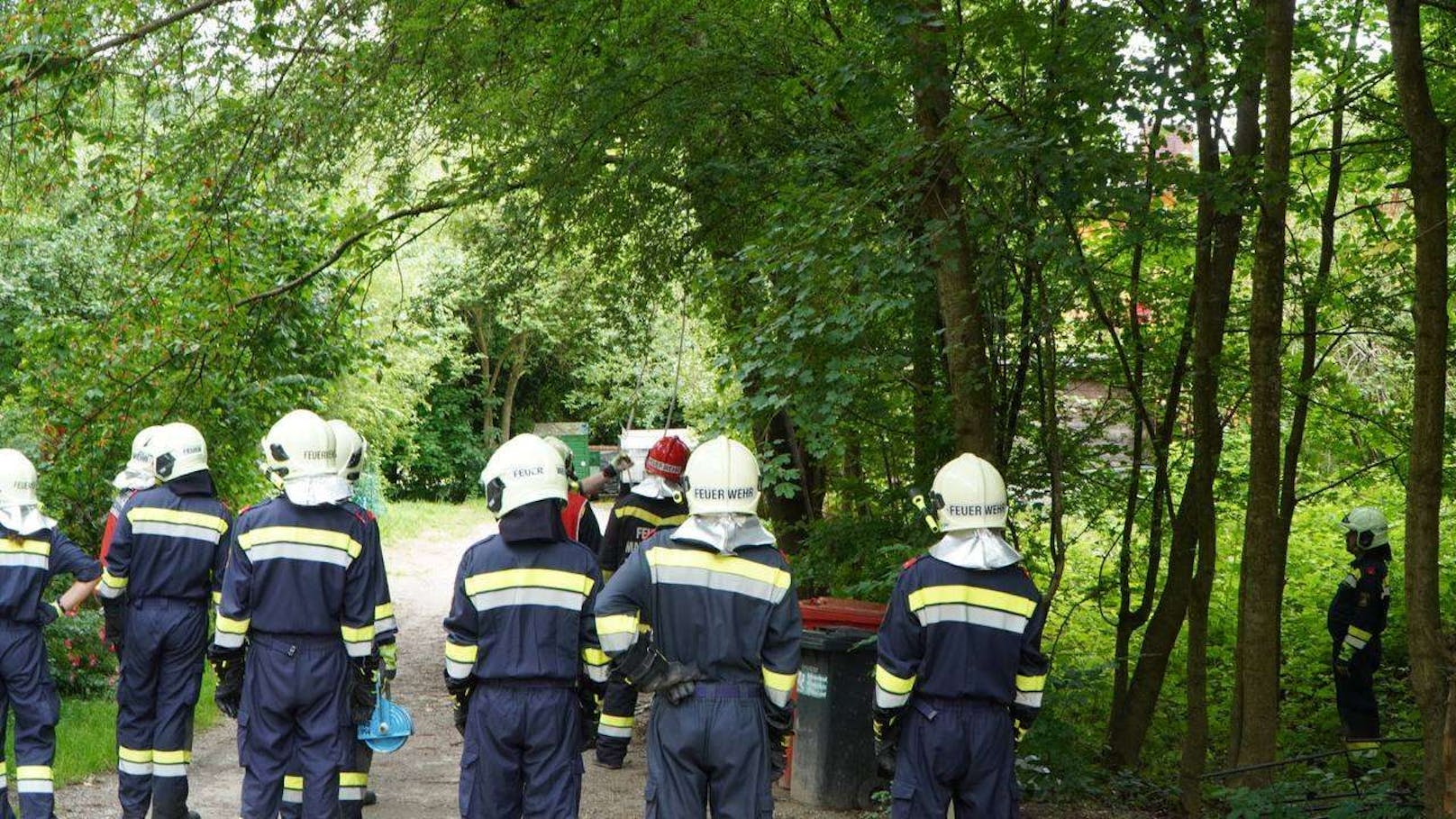 Der Baum drohte auf ein Gebäude zu stürzen. Die Feuerwehren Maria Anzbach und Neulengbach trugen ihn zur Sicherheit ab