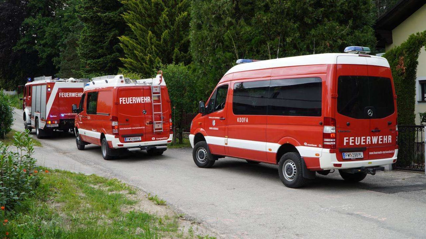 Der Baum drohte auf ein Gebäude zu stürzen. Die Feuerwehren Maria Anzbach und Neulengbach trugen ihn zur Sicherheit ab