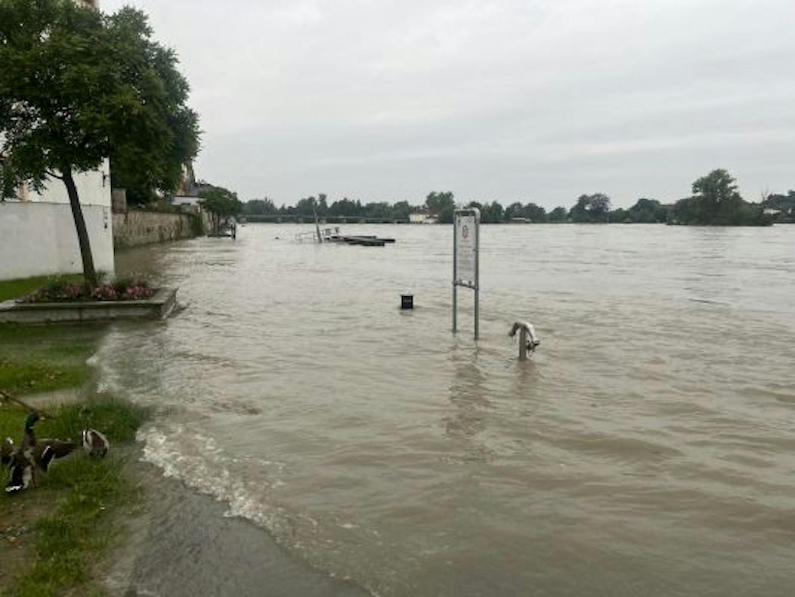 In Schärding stieg der Inn vergangene Woche gefährlich über die Ufer. Zu Wochenbeginn droht nun ein ähnlich hoher Pegelstand.