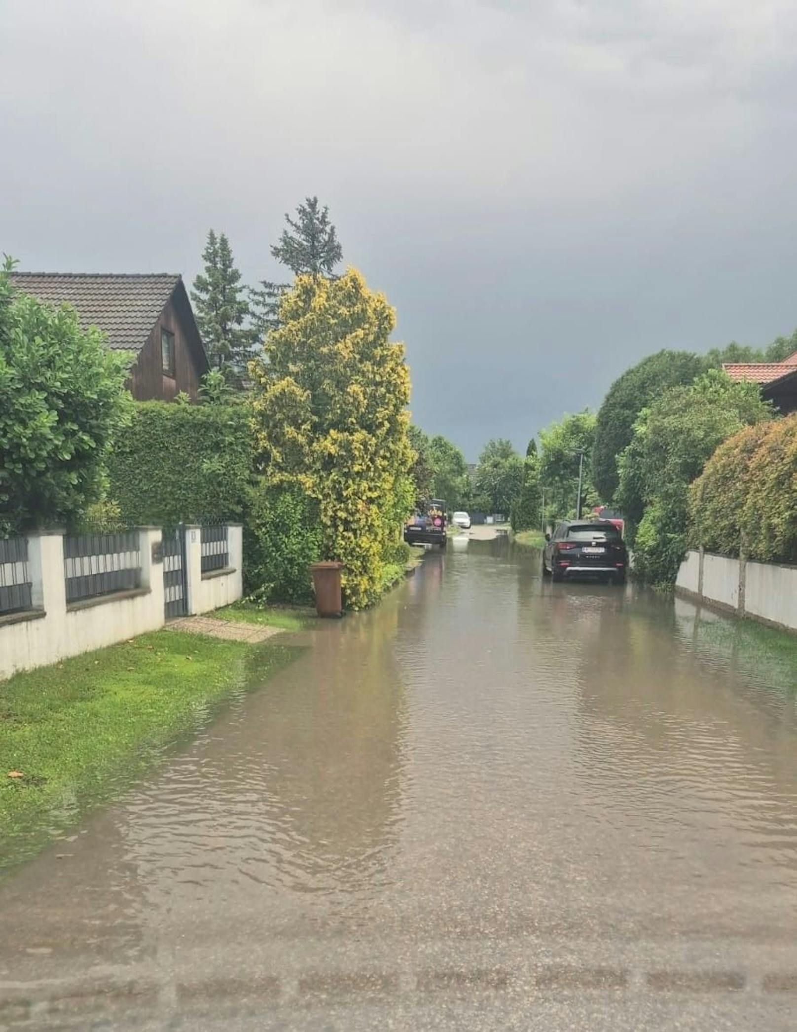 Zahlreiche Bäume brachen oder stürzten um. Ein Haus wurde beschädigt