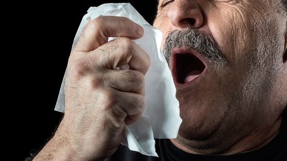 Middle-aged balding man with seasonal flu or allergy sneezing into a handkerchief, head and shoulders over a black background