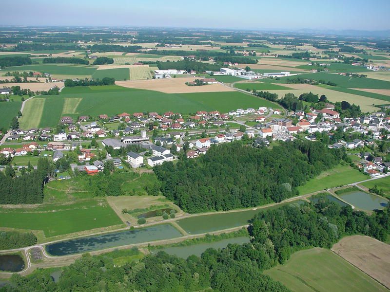 Heute.at - Blaue holen in Heimatgemeinde von FPÖ-Chef 40 Prozent