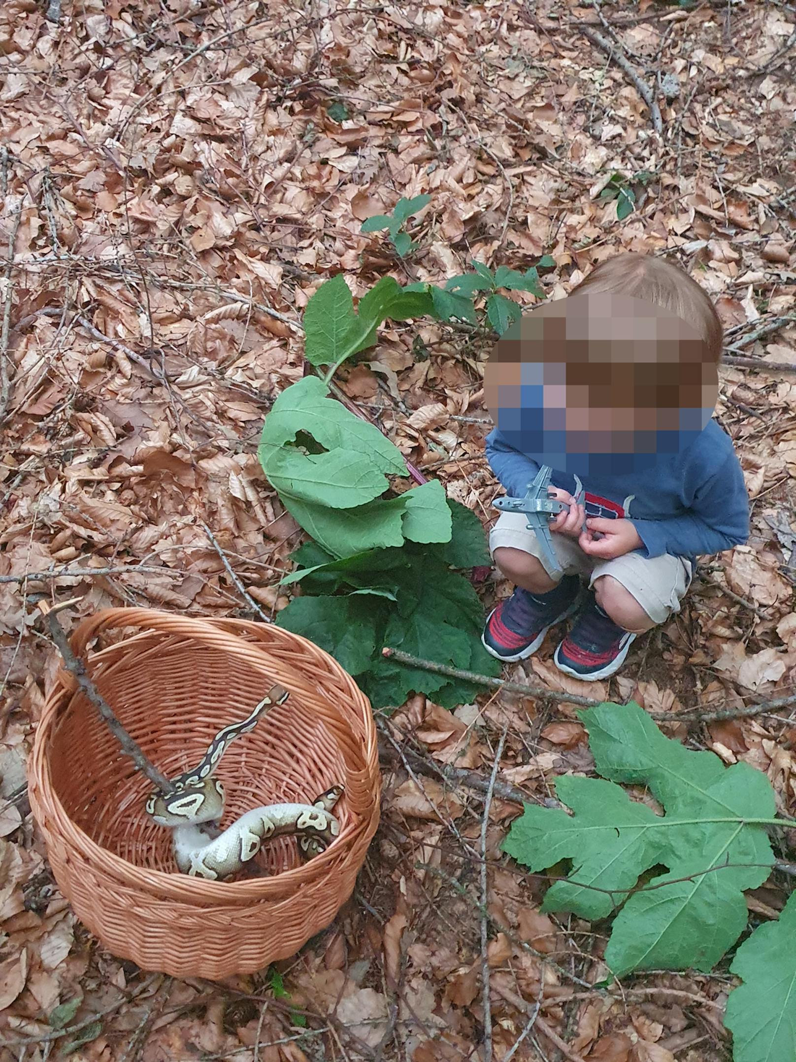 Diese Schlange sieht etwas furchteinflößend aus. Der kleine Bub hat wohl keine Angst.