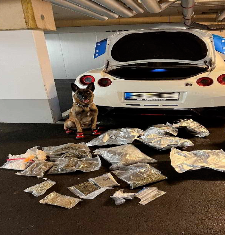 Ermittlungserfolg im Bereich der Suchtmittelkriminalität – Hausdurchsuchungen, Festnahmen und Sicherstellungen.