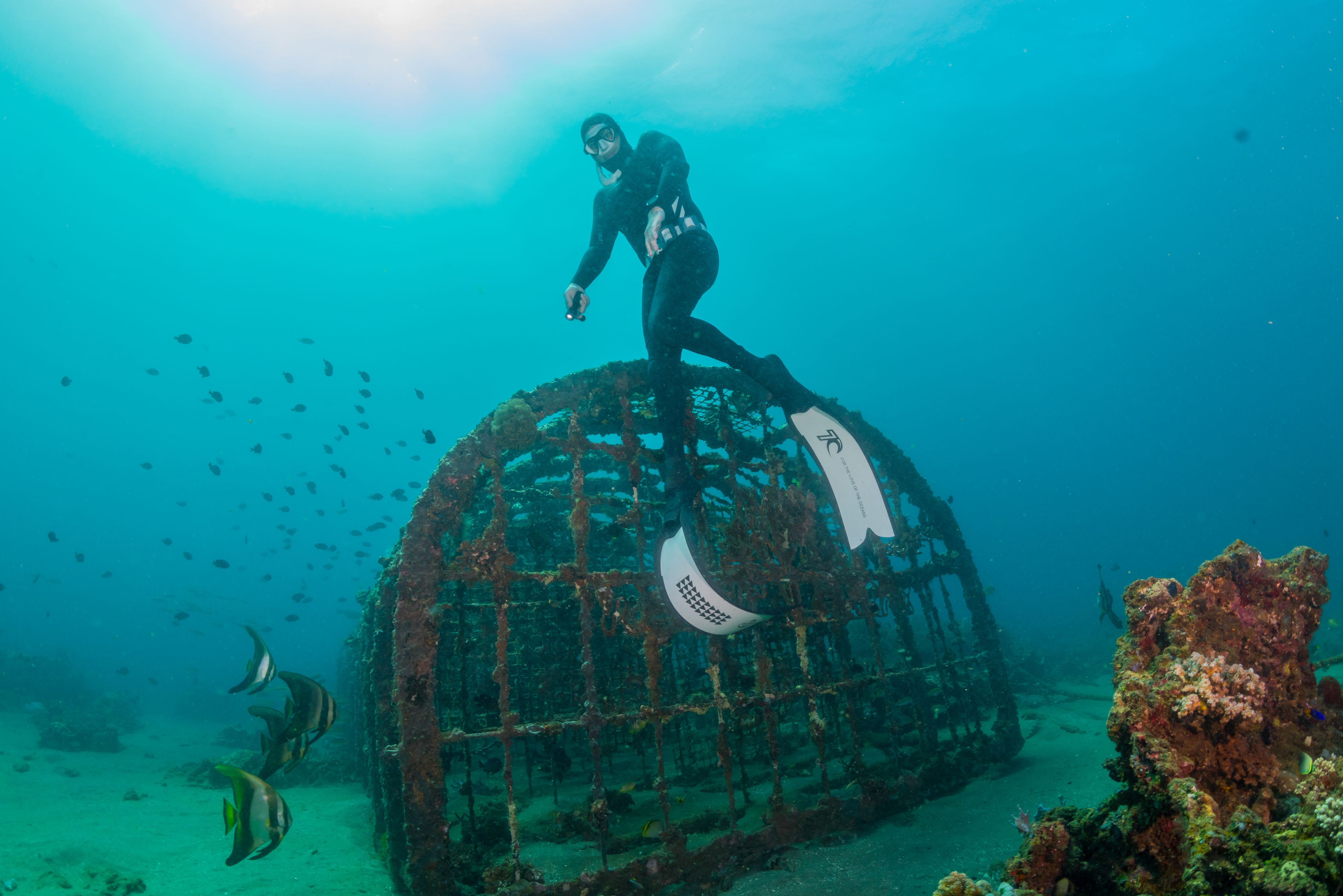 Mit nur einem Atemzug kann Christian Redl minutenlang unter Wasser bleiben.