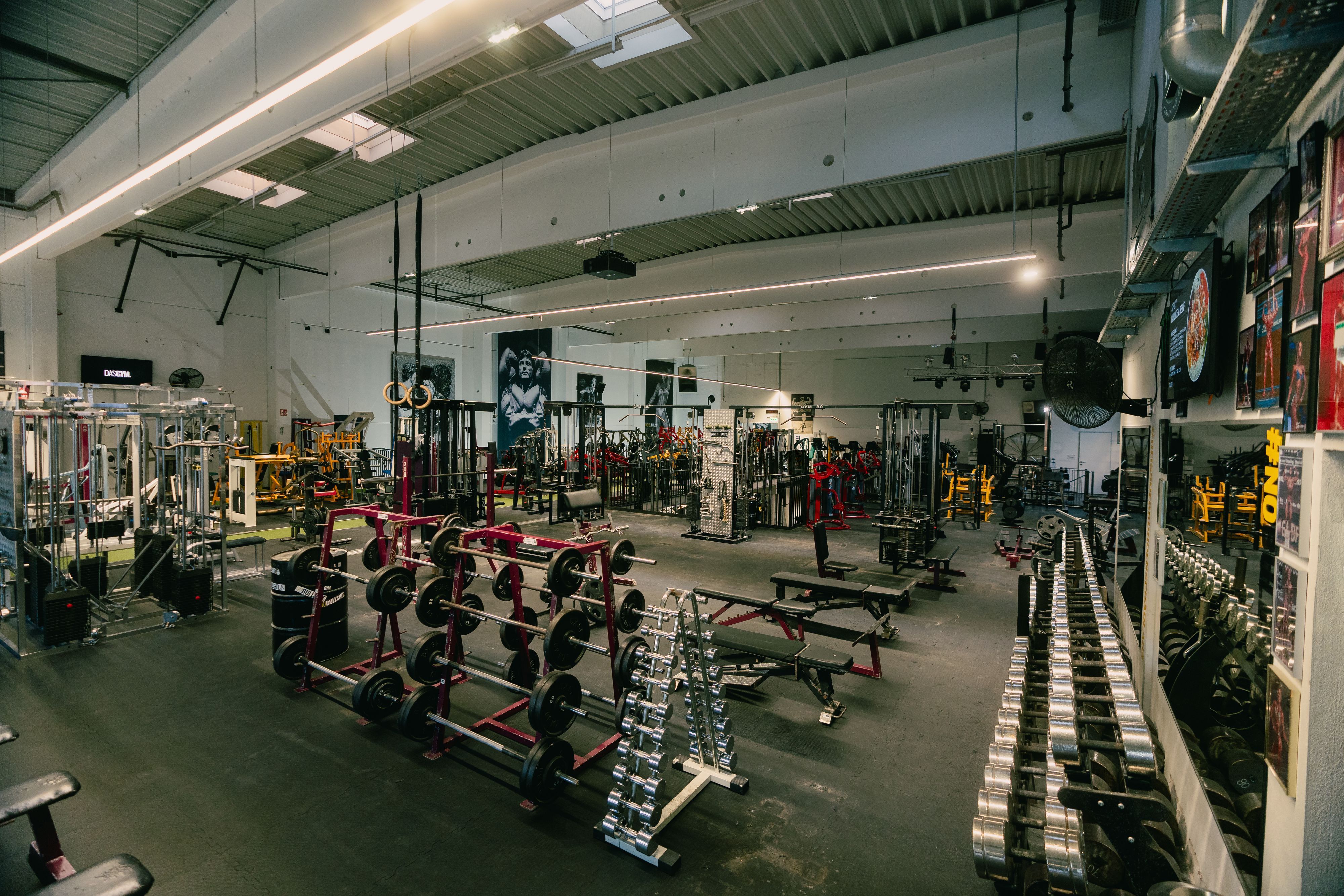 Über 220 Kraftmaschinen und mehr als 25 Powerracks erwarten dich im DASYGYM.
