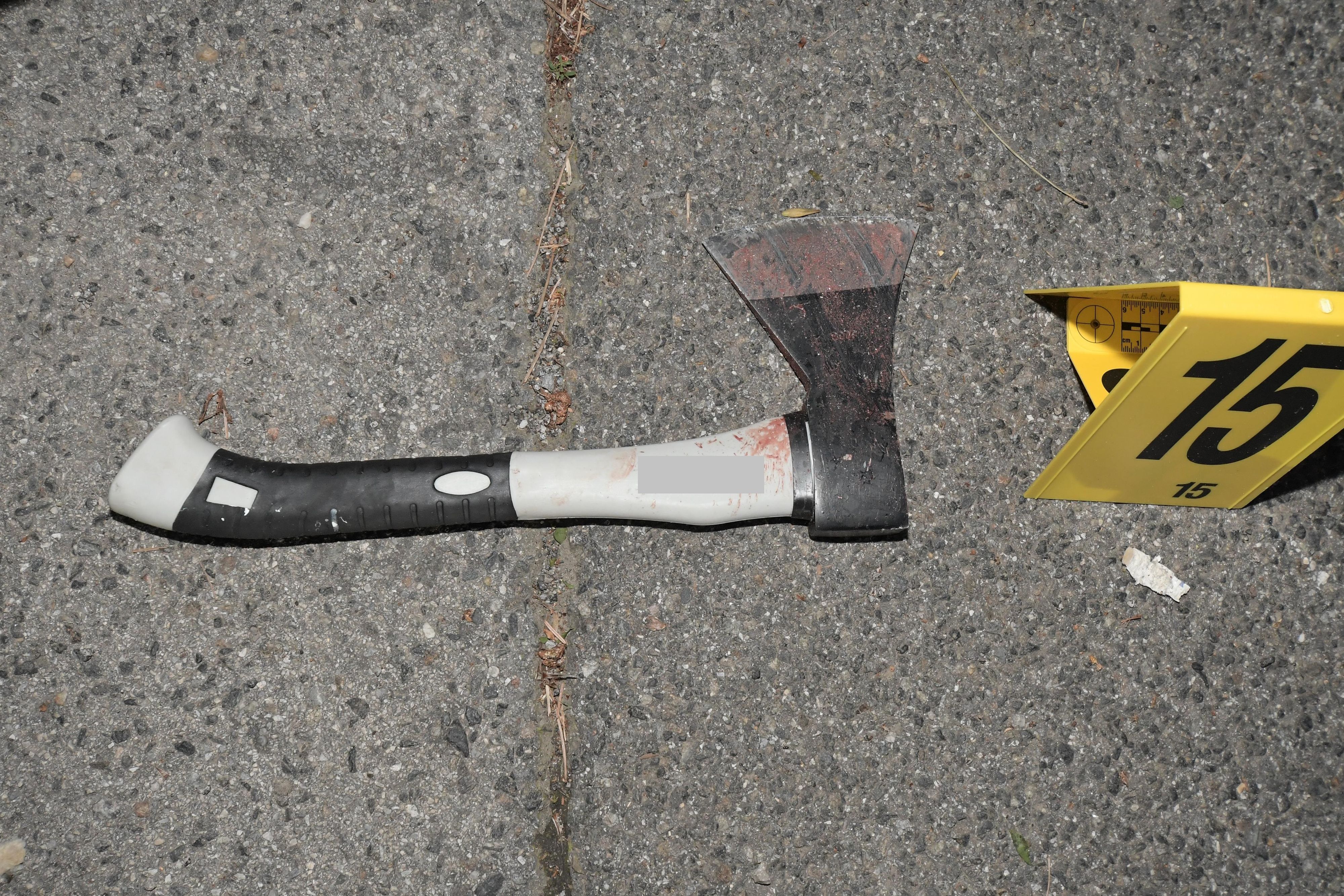 Die mutmaßliche Mordwaffe: Mit dieser Axt soll der 26-Jährige seine Mitbewohnerin (22) in Floridsdorf erschlagen haben und dann Polizisten attackiert haben.