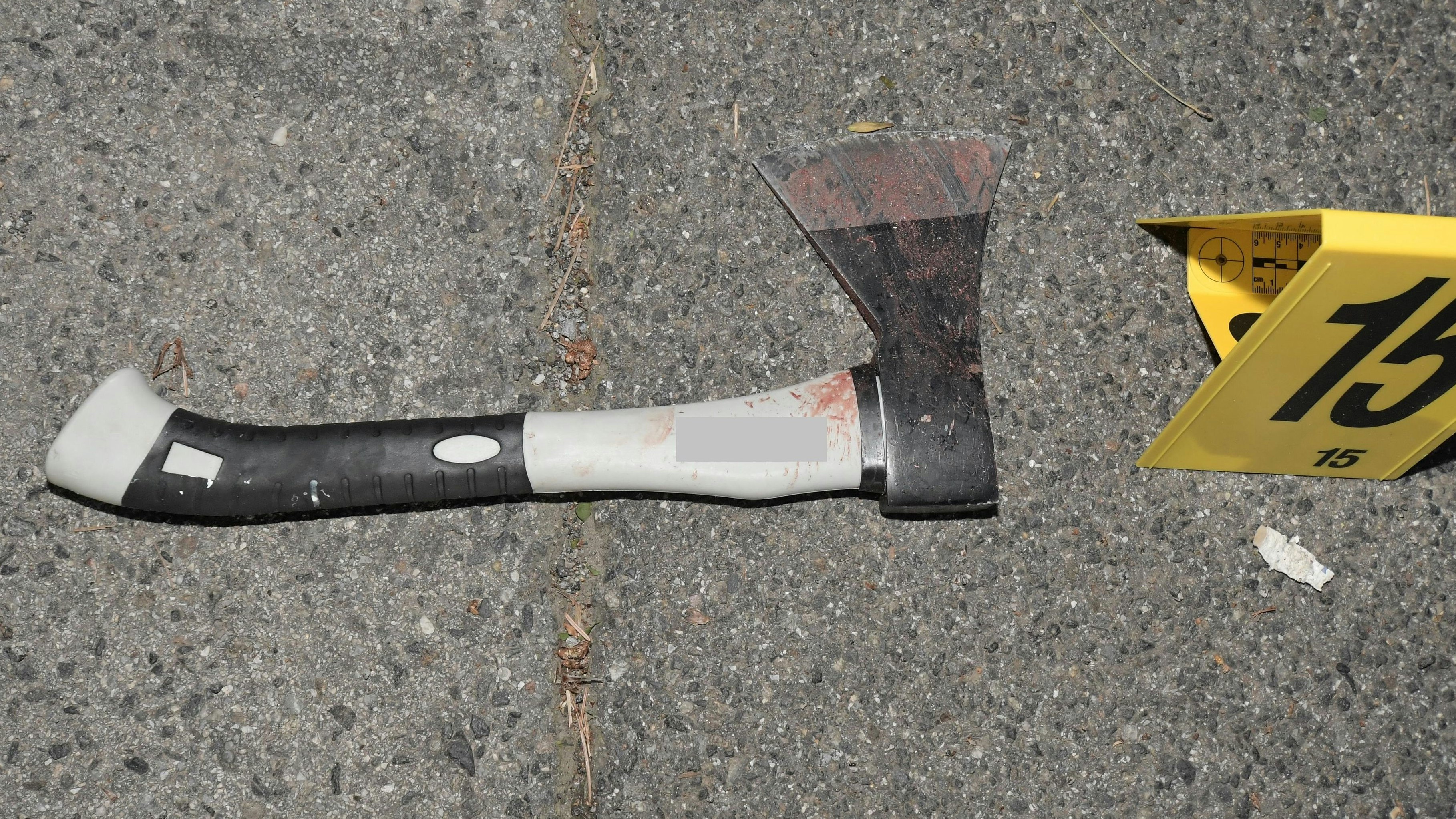 Die mutmaßliche Mordwaffe: Mit dieser Axt soll der 26-Jährige seine Mitbewohnerin (22) in Floridsdorf erschlagen haben und dann Polizisten attackiert haben.