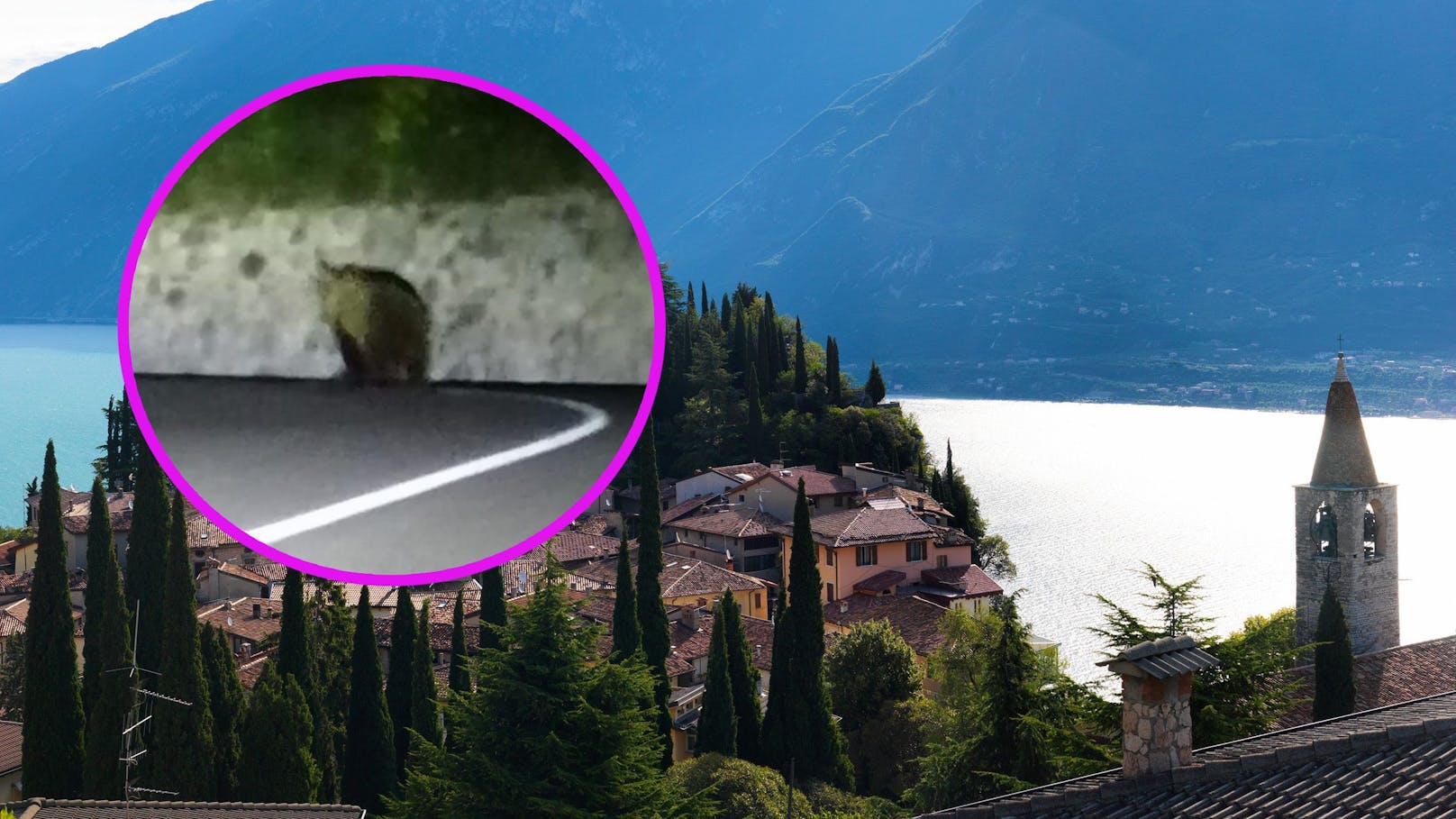 Bär spaziert durch Gardasee-Dorf – Mann macht Foto