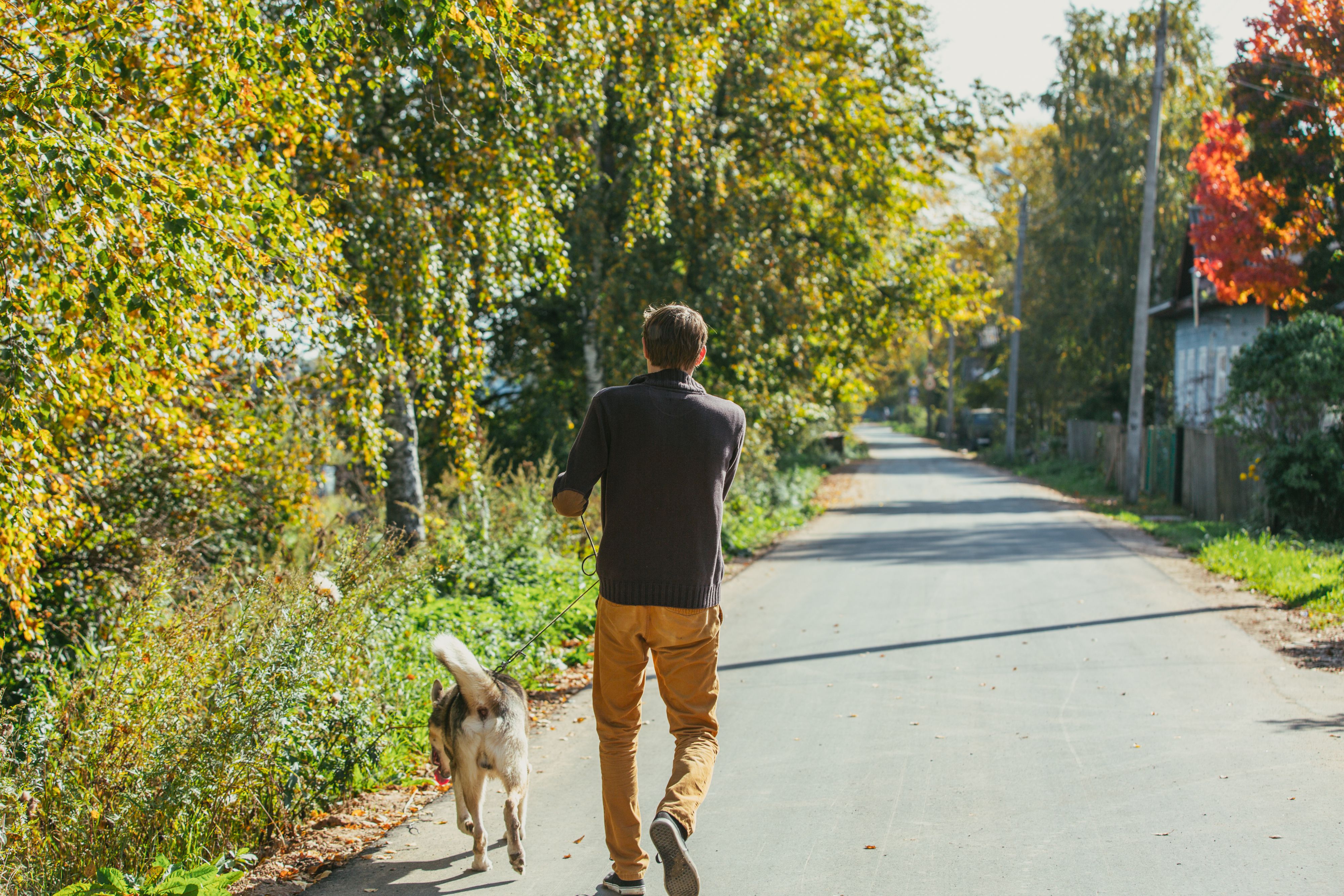 Mann beim Gassigehen in Wien niedergestochen. 
