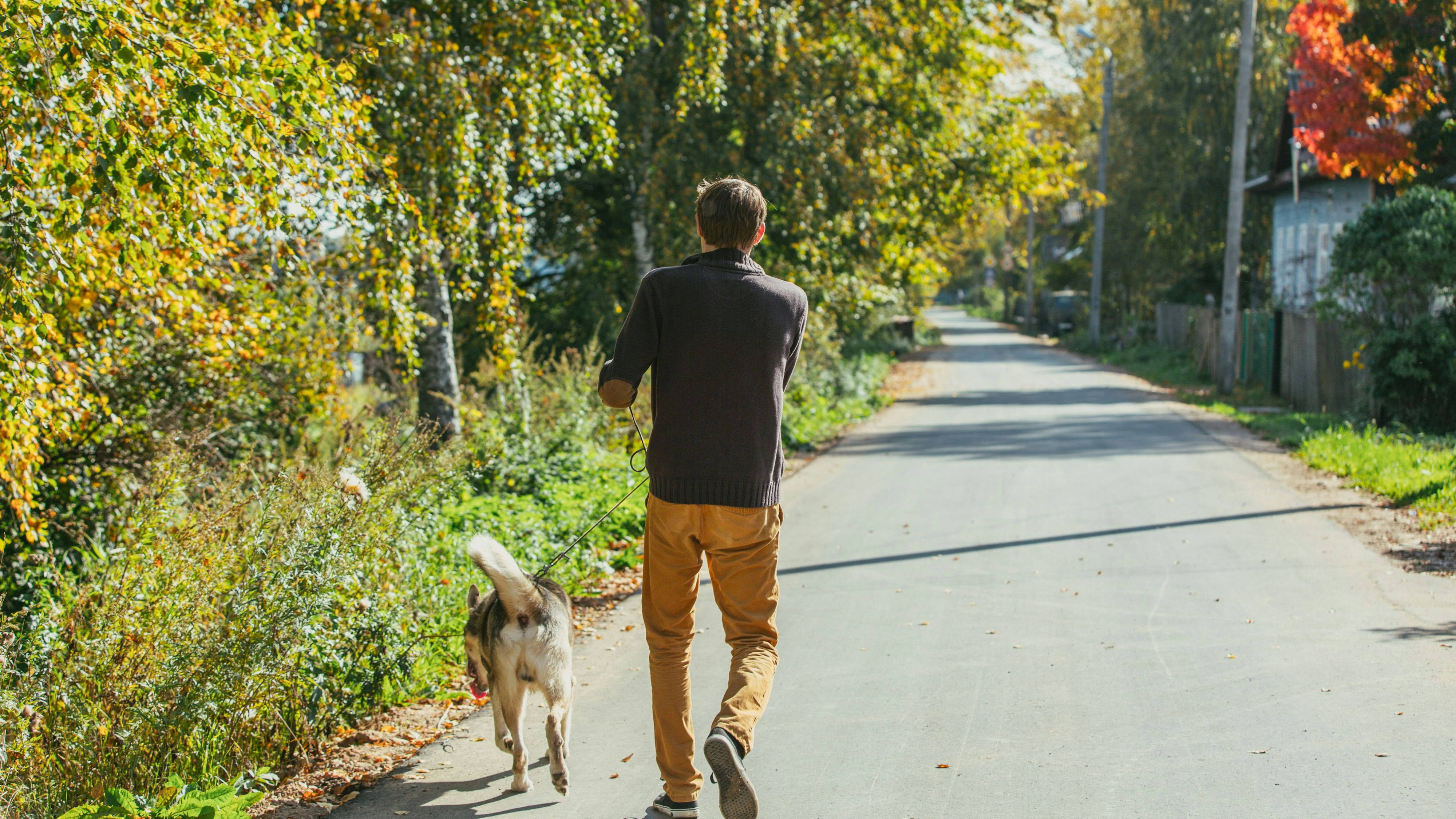 Mann beim Gassigehen in Wien niedergestochen. 