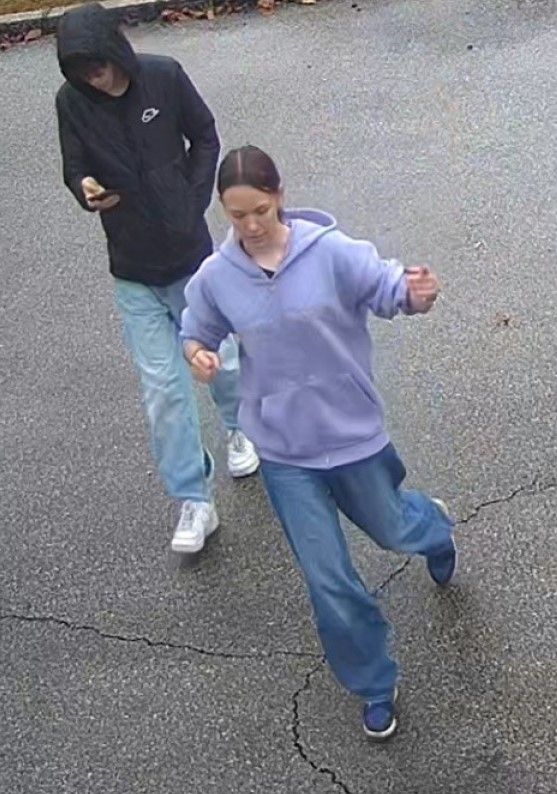 Die Polizei sucht mit Aufnahmen aus einer Videokamera nach diesen beiden Personen.