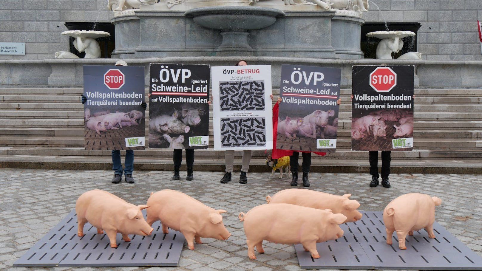 Schweine vor dem Parlament – Kampf gegen Tiergewalt