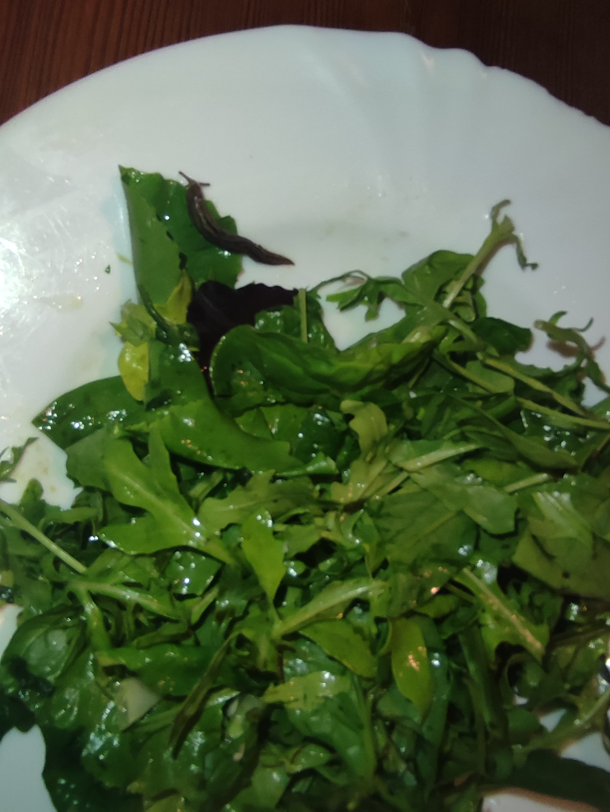 Dieser kleine Kerl erschreckte eine Wienerin zu Tode. Sie brach den Lunch umgehend ab.