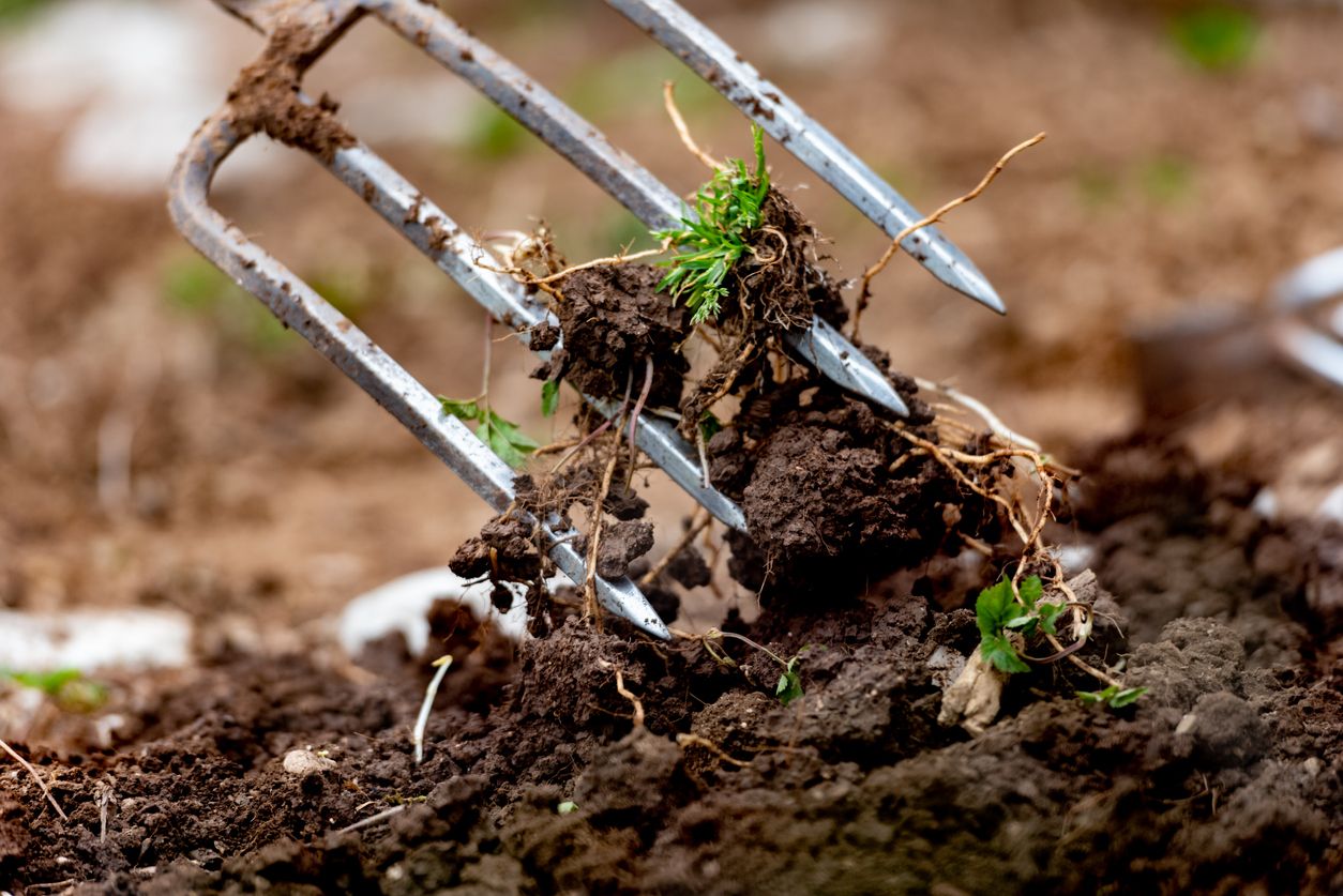 Eine Mistgabel stand im Zentrum eines Gerichtstermins.