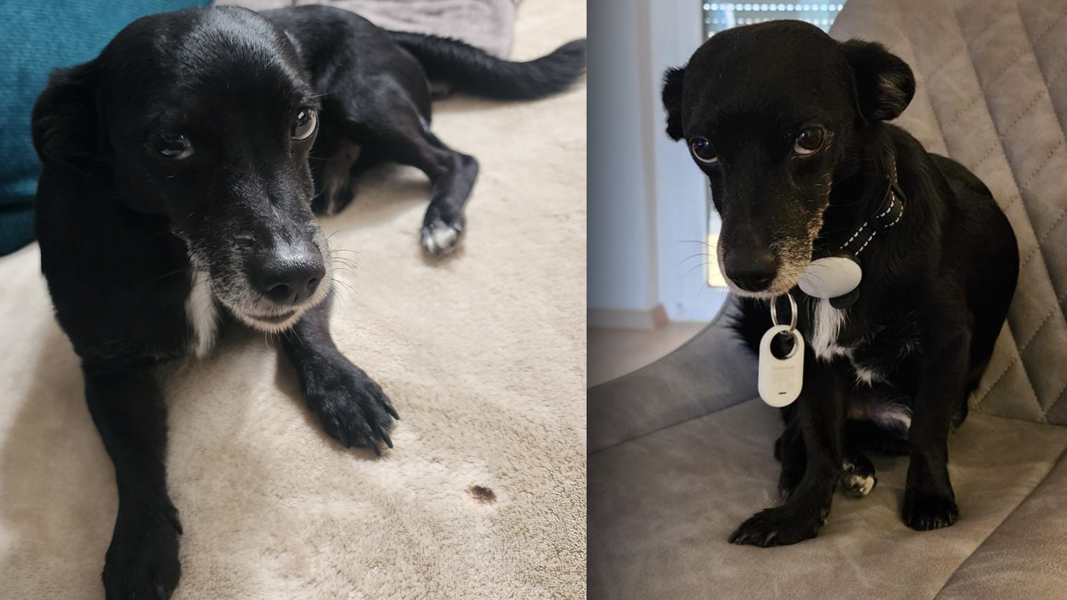 Nach einem schrecklichen Unfall konnte Tiga (11) nur noch tot geborgen werden.