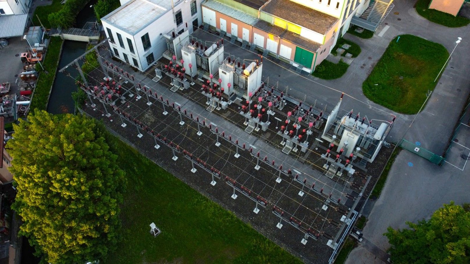 Ein Eichkatzerl verursachte in Wels eine Tunnelsperre und Staus.