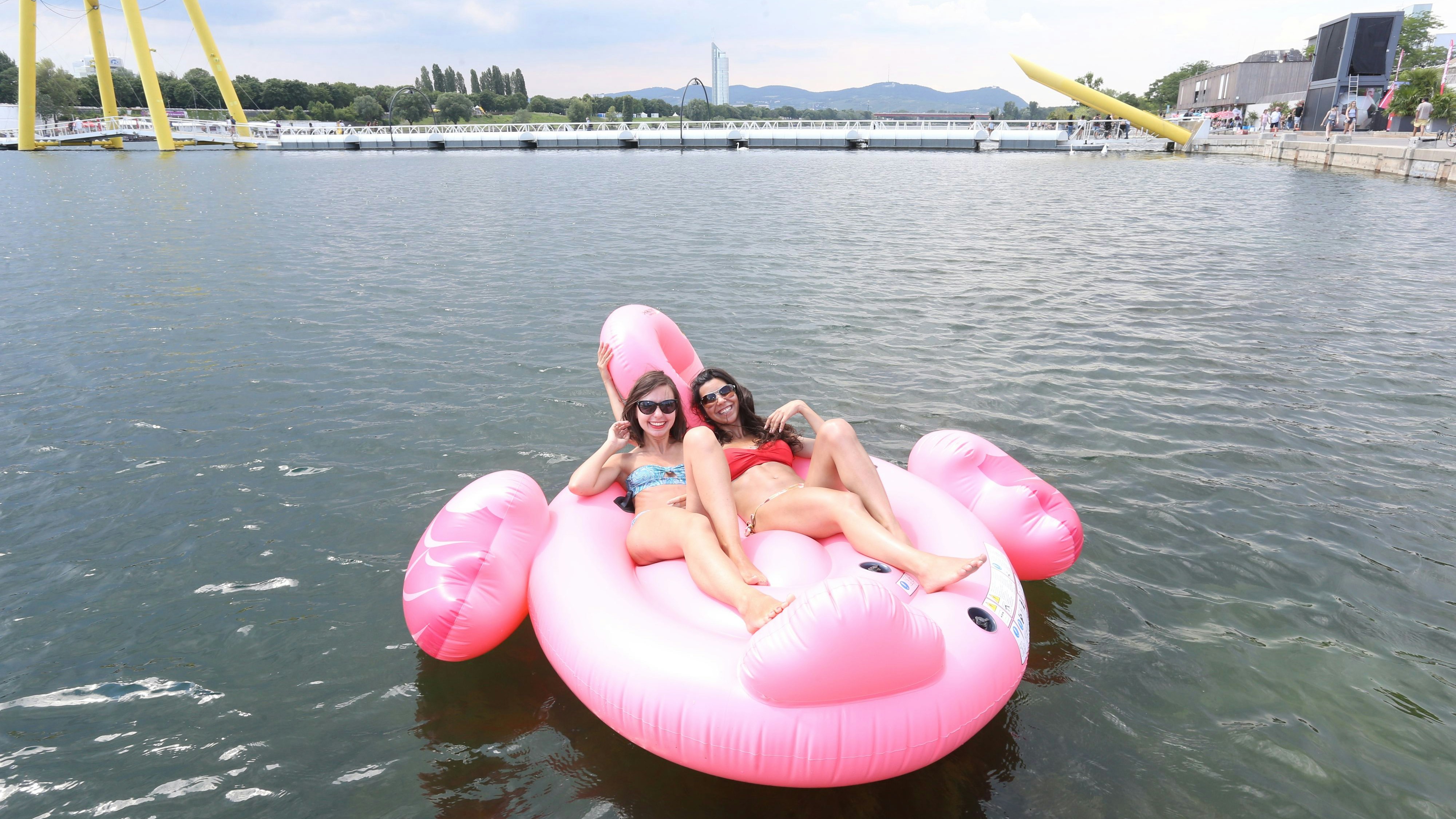 20180617 / schwimmtier neue donau donauinsel flamingo schönbild sommer sonne schwimmen / foto: denise auer / tageszeitung heute