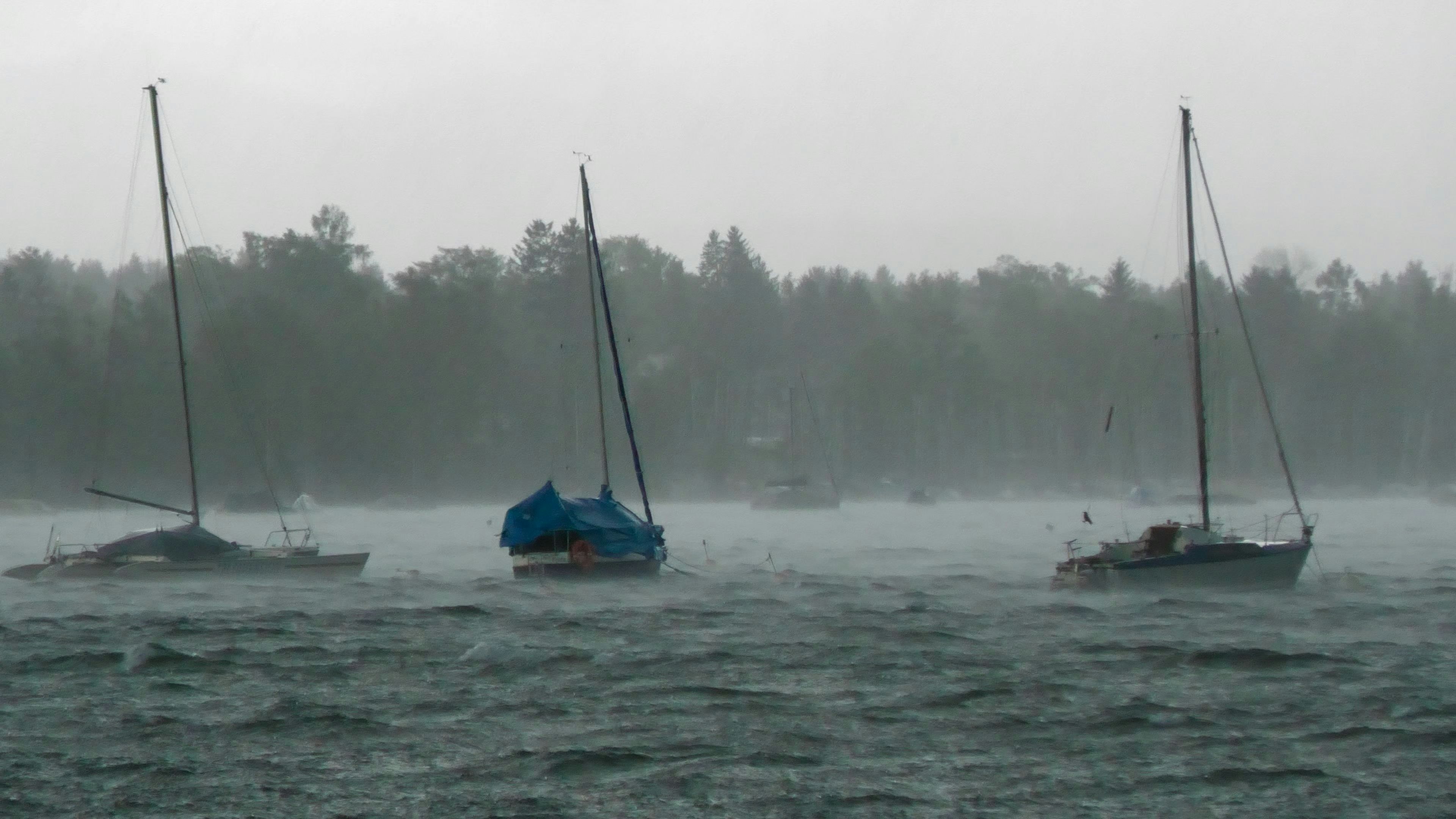 Heute.at - Sturm, Gewitter! Kaltfront bringt Unwetter ins Land