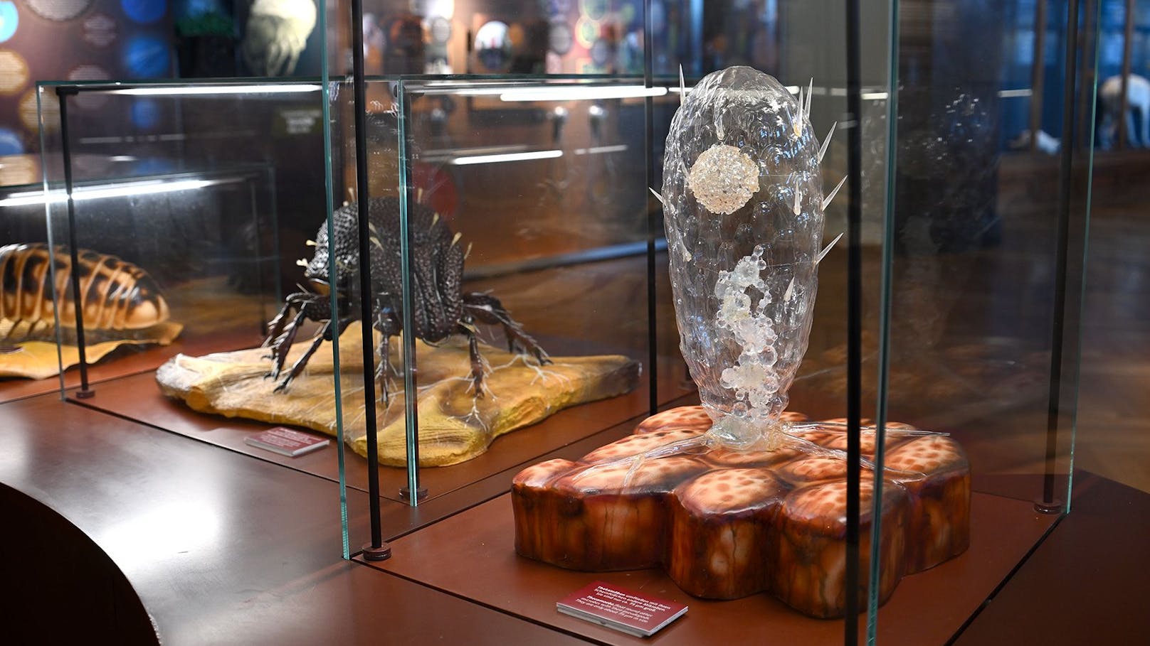 Kern der Ausstellung sind fantastische überlebensgroße Modelle von den verschiedenen Lebewesen.