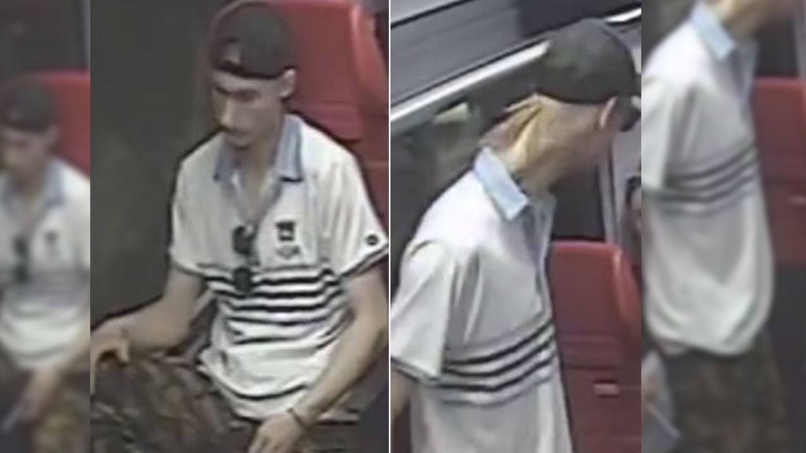 Die Wiener Polizei sucht diesen Mann.