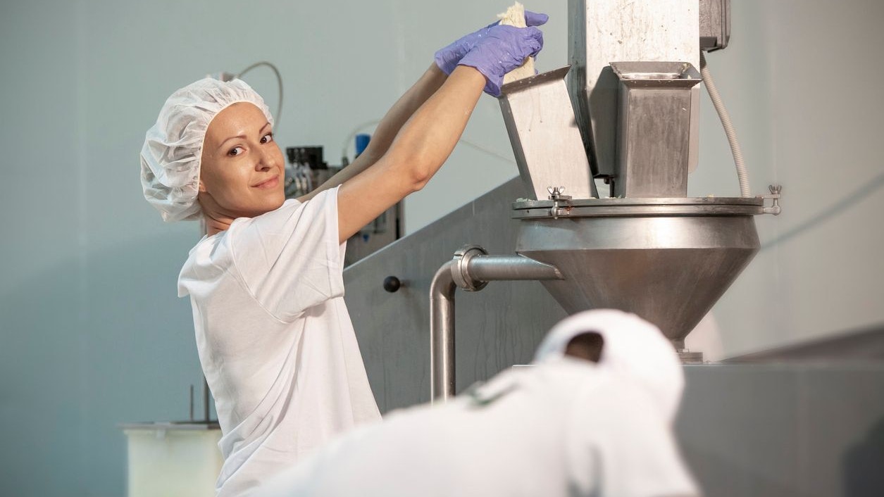 Female worker on yellow cheese production line in an industrial factory