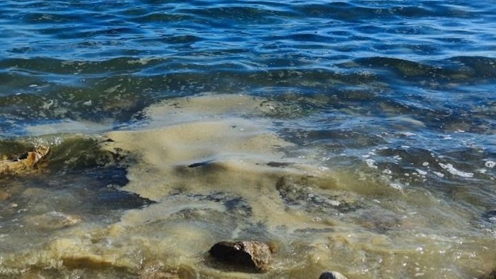 Übelriechender Schleim verdirbt Badespaß in Kroatien
