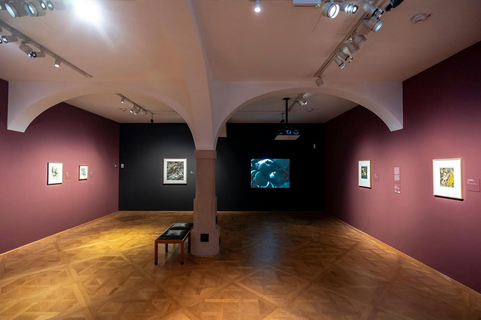 Ausstellungsraum der Ausstellung "Montierte Welten" im Belvedere.