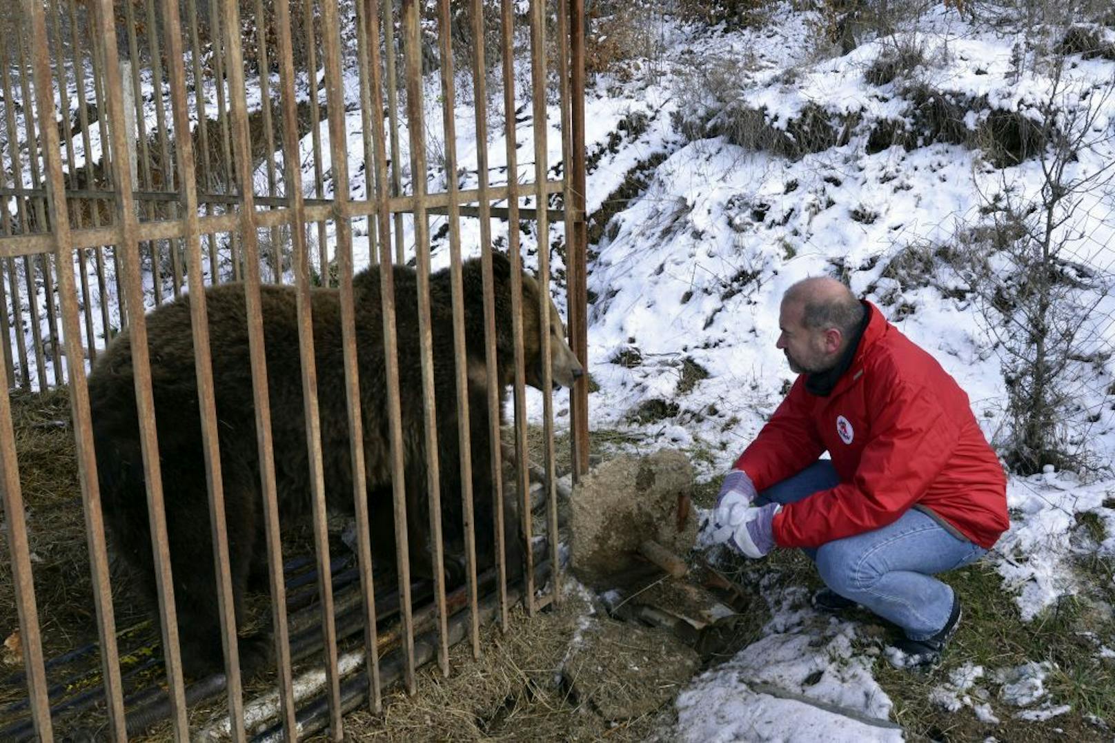 VIER PFOTEN gründete den Bärenwald um sog. "Restaurantbären" von den grausamen Haltungsbedingungen zu befreien und ihnen ein artgerechtes zu Hause zu schaffen.