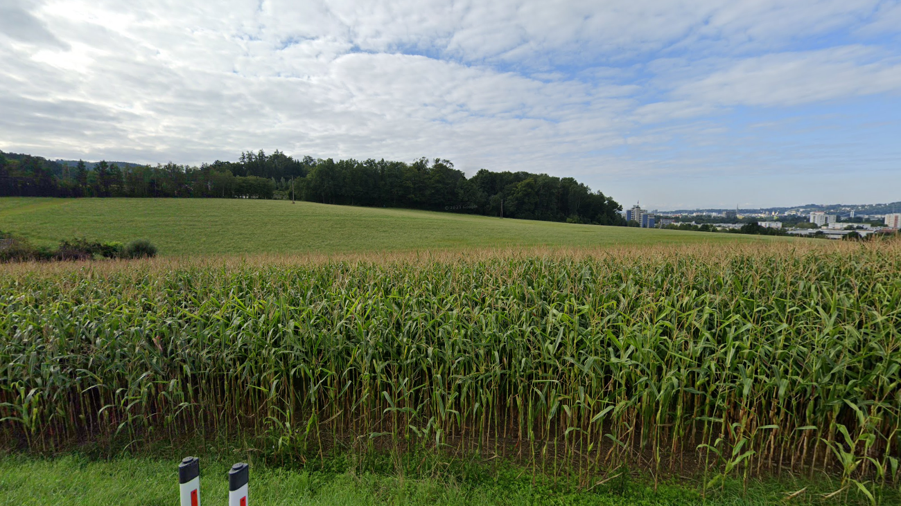 Heute.at - Sind mitten in der Klimakrise: Tropennächte nehmen zu