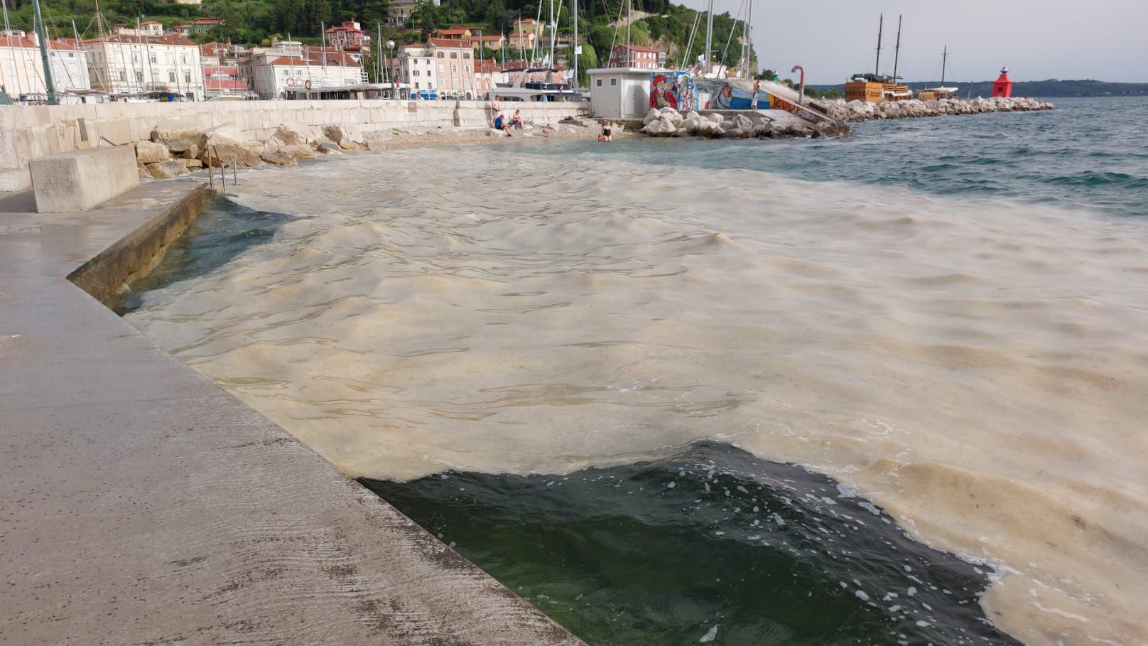 In Piran (Slowenien) entdeckte <em>"Heute"</em>-Leser Bernhard die stinkende Algenblüte.