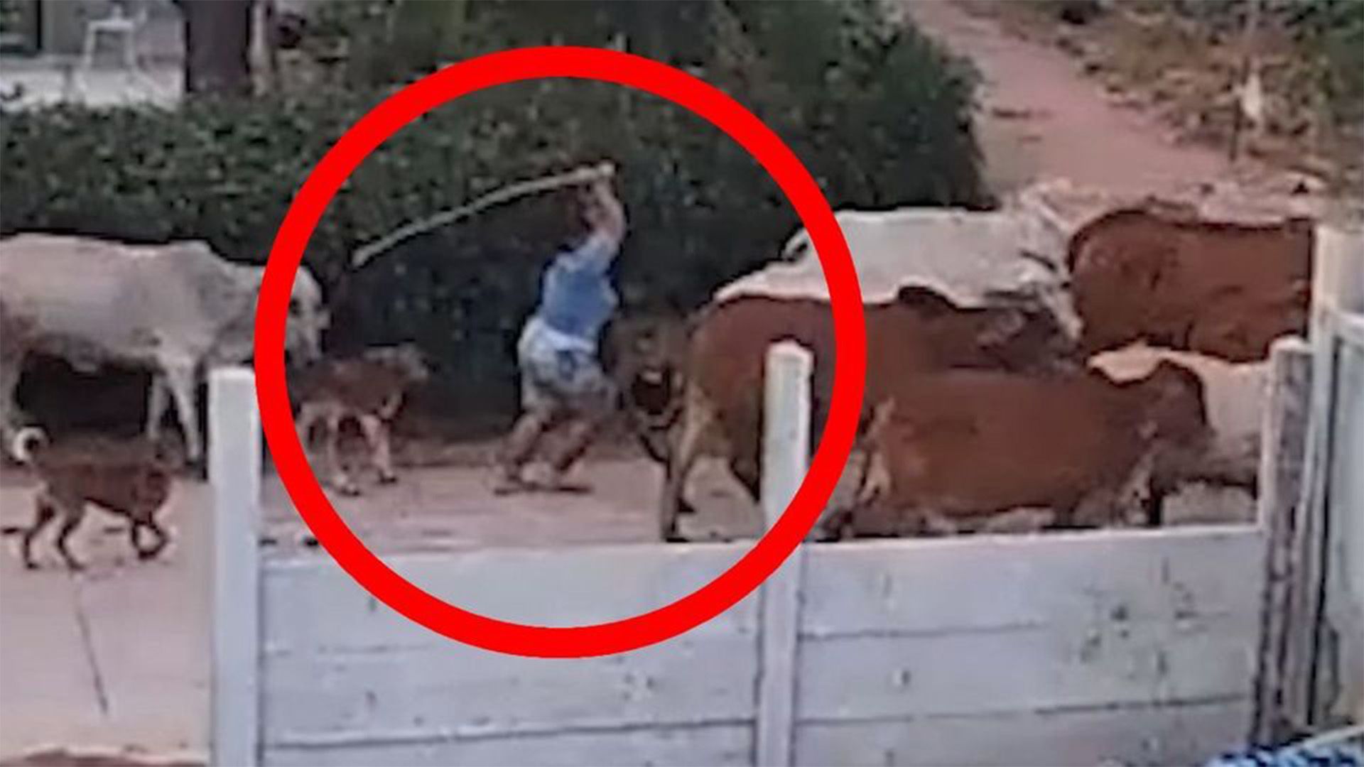 Offensichtliche Berufsverfehlung.