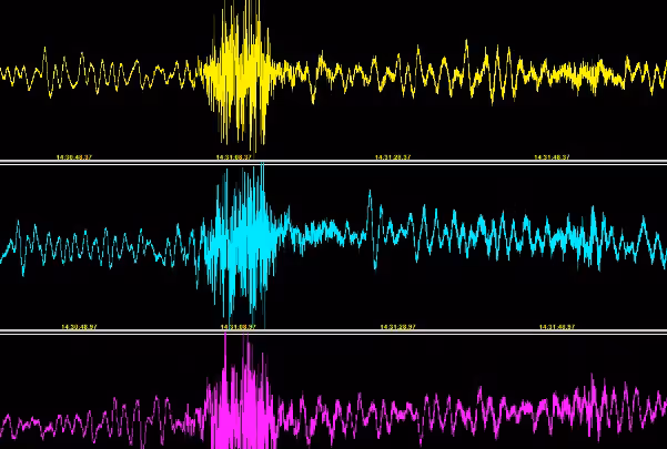 Die seismische Station CAIS hat am Donnerstag ein Beben aufgezeichnet.